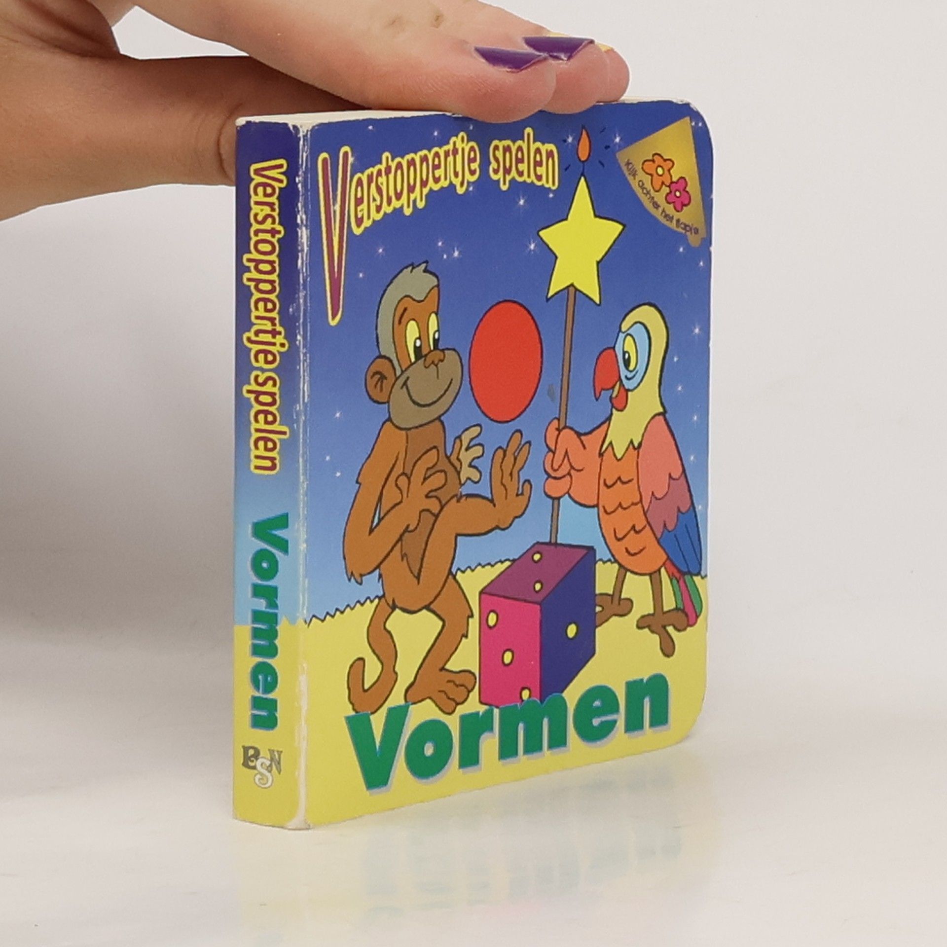 AA.VV. Verstoppertje spelen Vormen