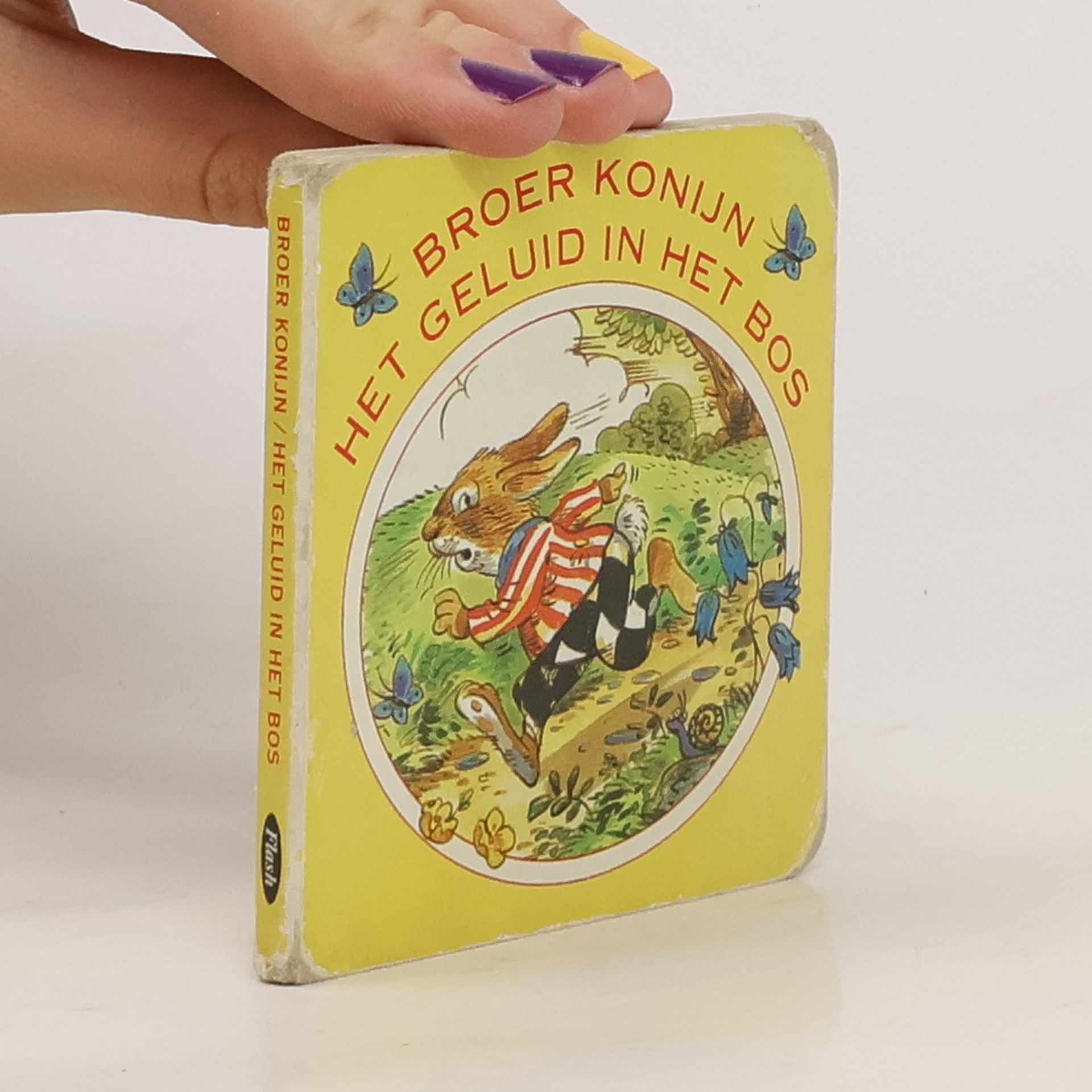 Broer Konijn Het Geluid in Het Bos