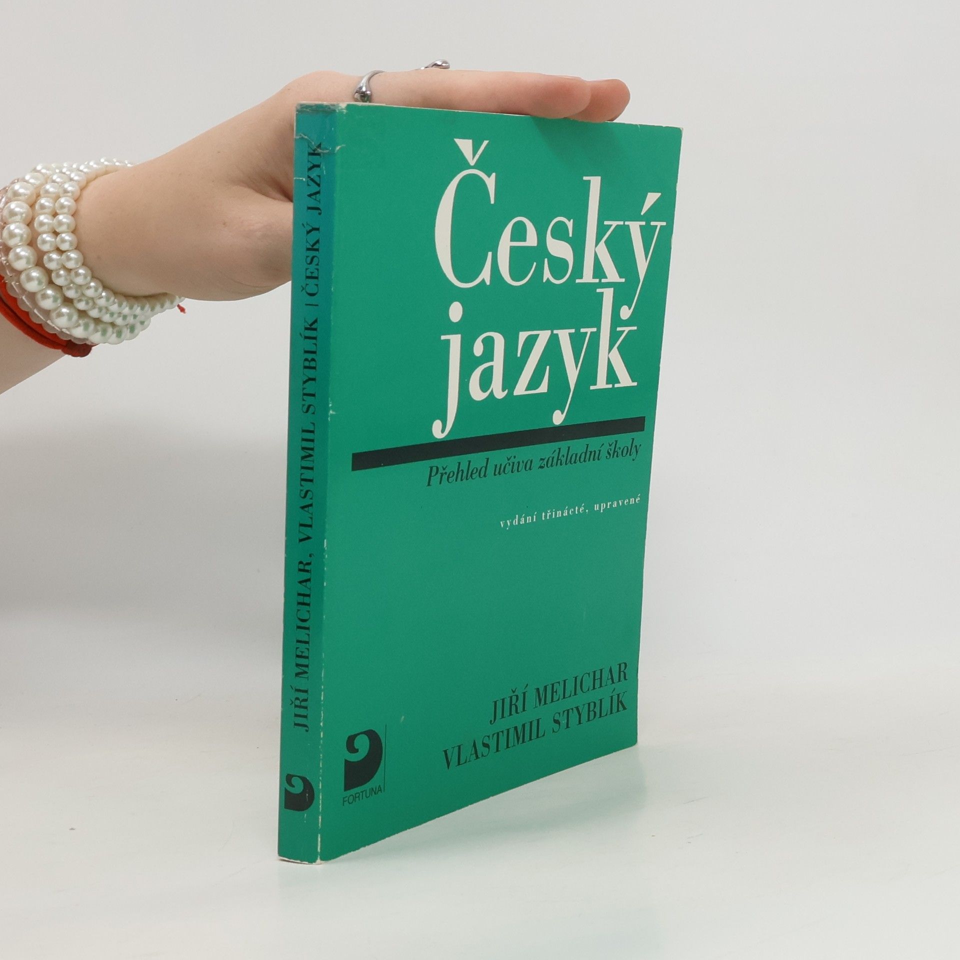 Vlastimil Styblík Český jazyk: Přehled učiva základní školy