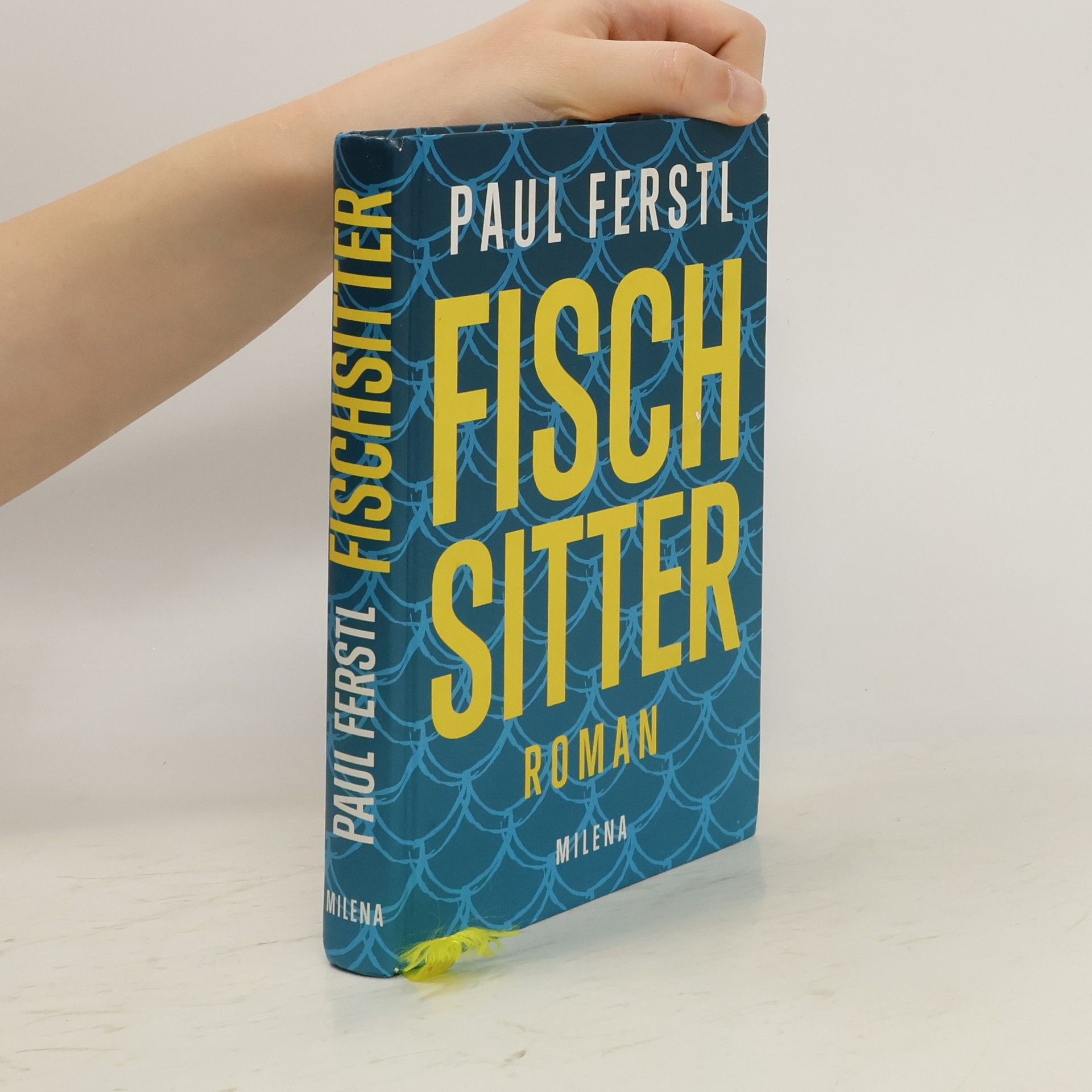 Paul Ferstl Fischsitter