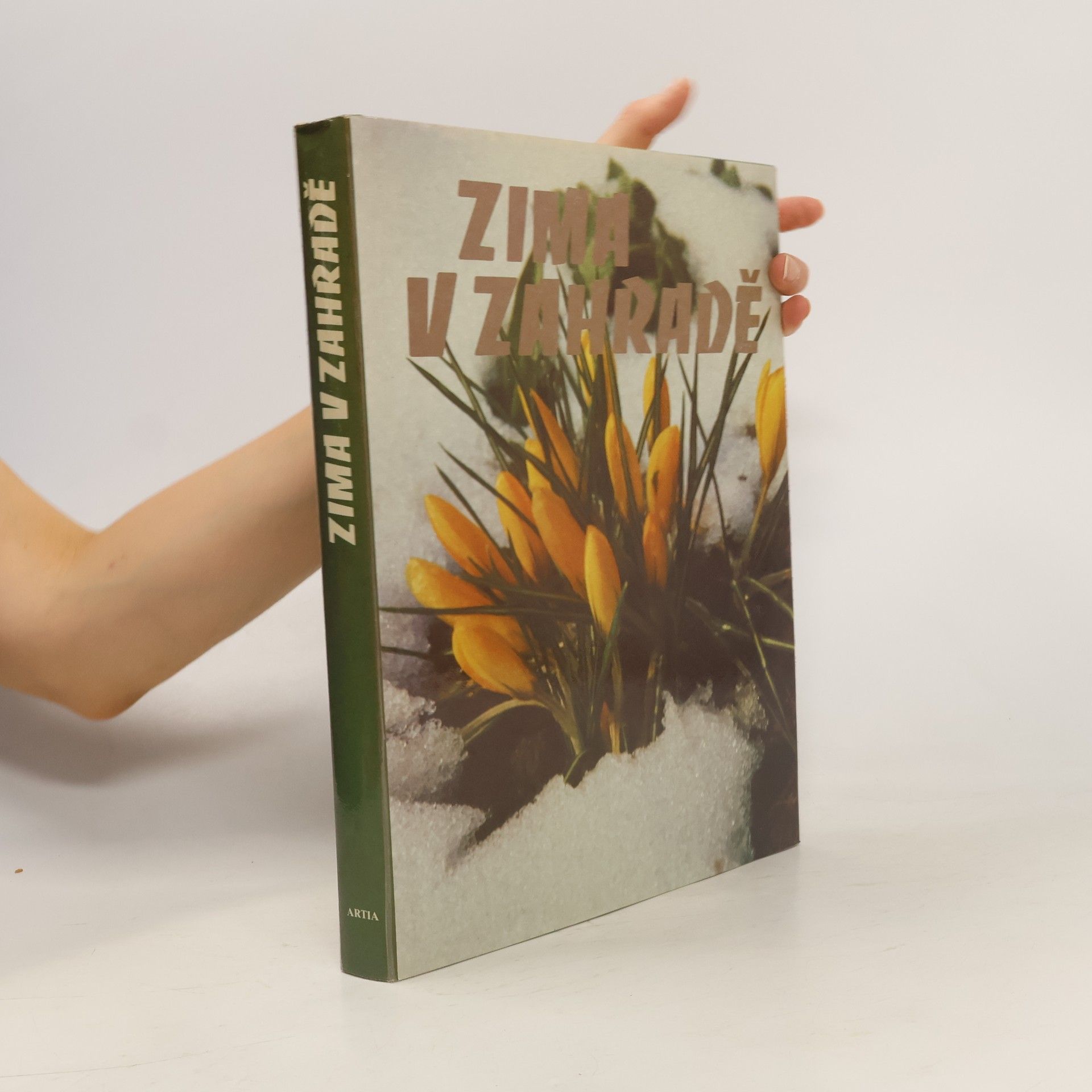 Collectif d'auteurs Zima v zahradě