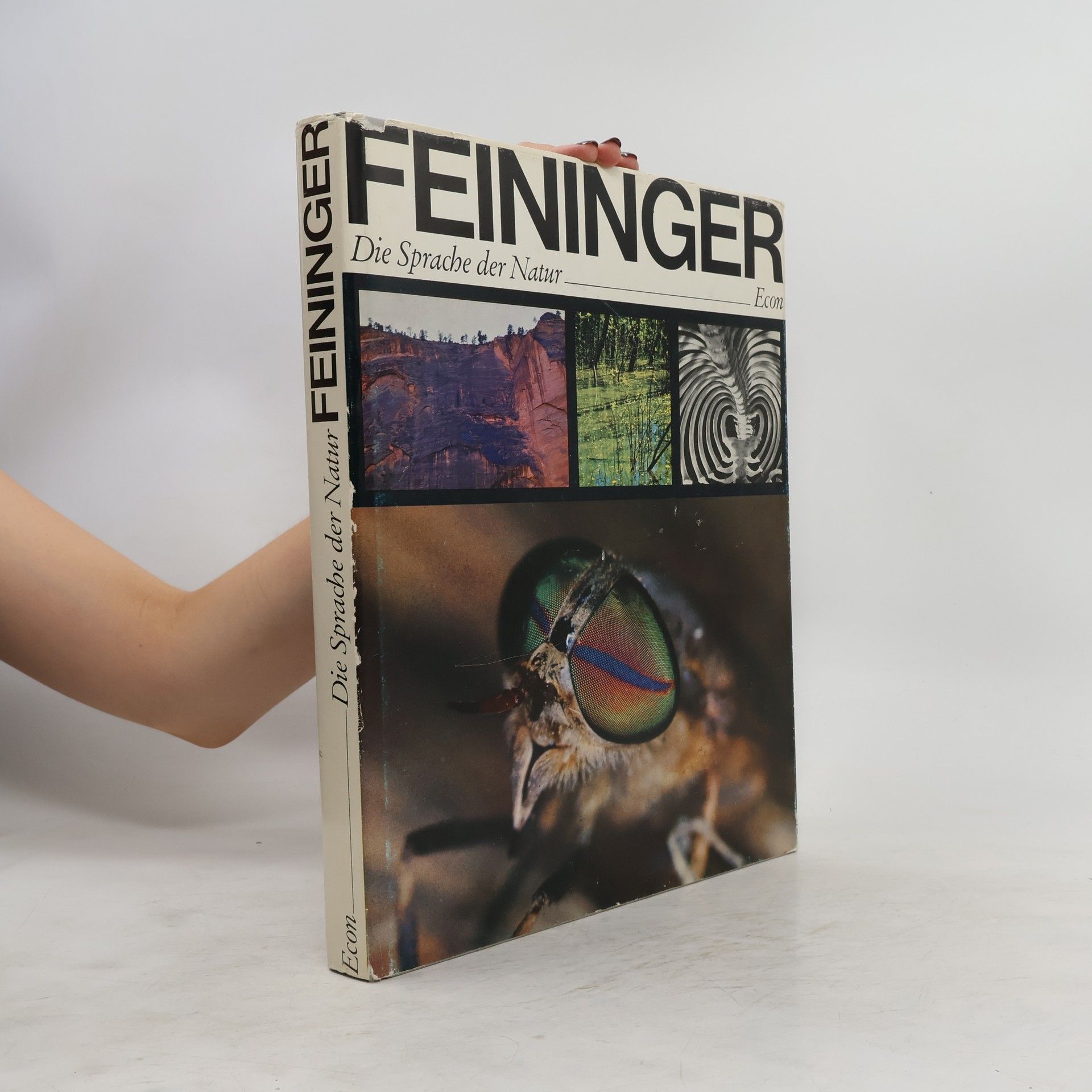 Autorenkollektiv Feininger. Die Sprache der Natur