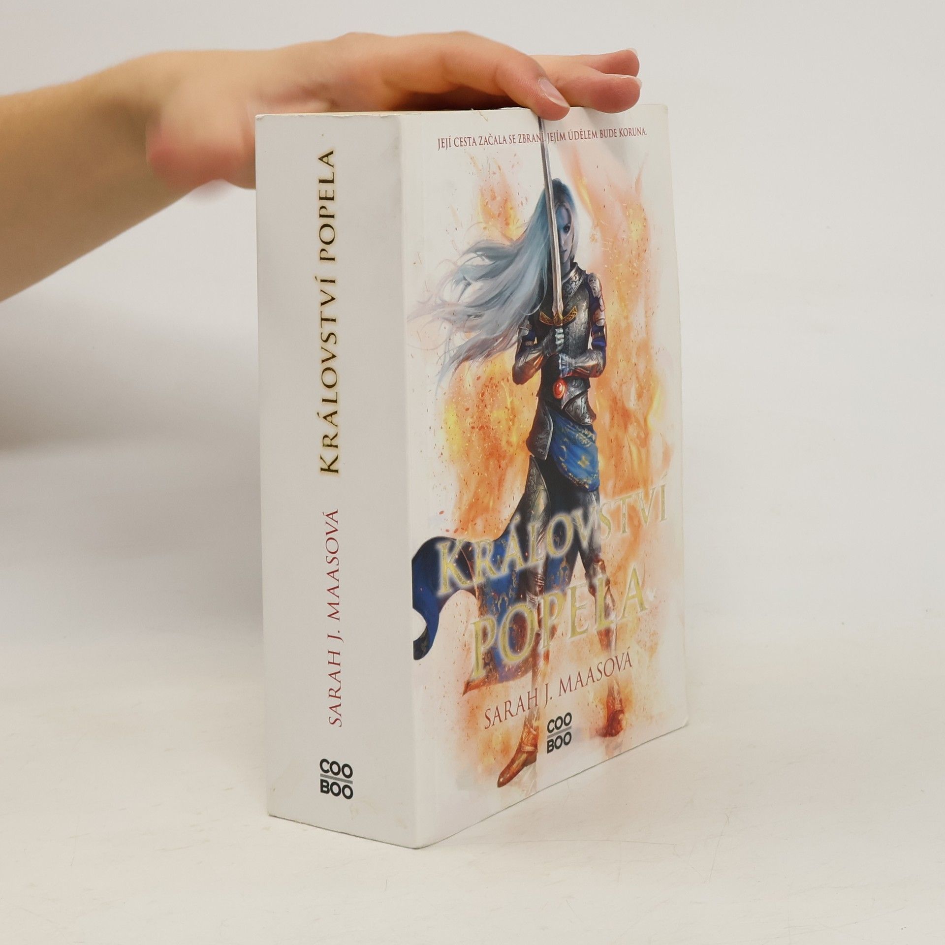 Sarah J. Maas Království popela