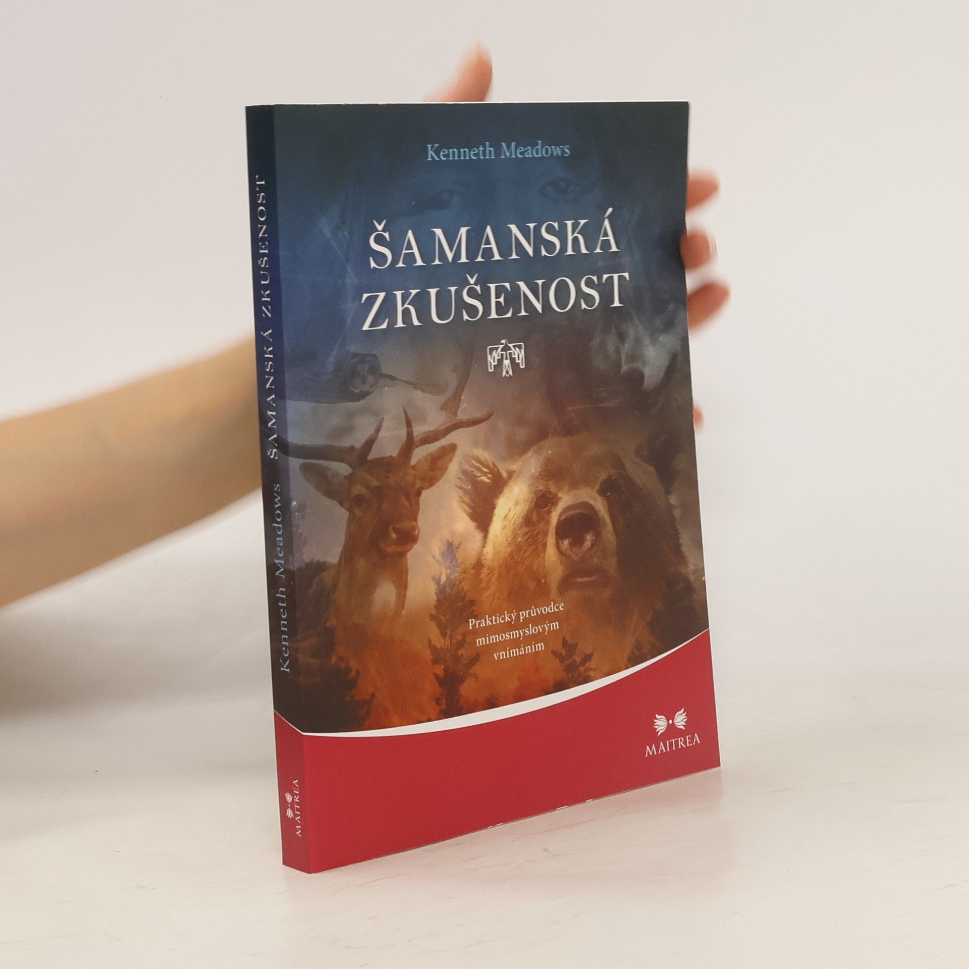 Kenneth Meadows Šamanská zkušenost - Praktický průvodce mimosmyslovým vnímáním