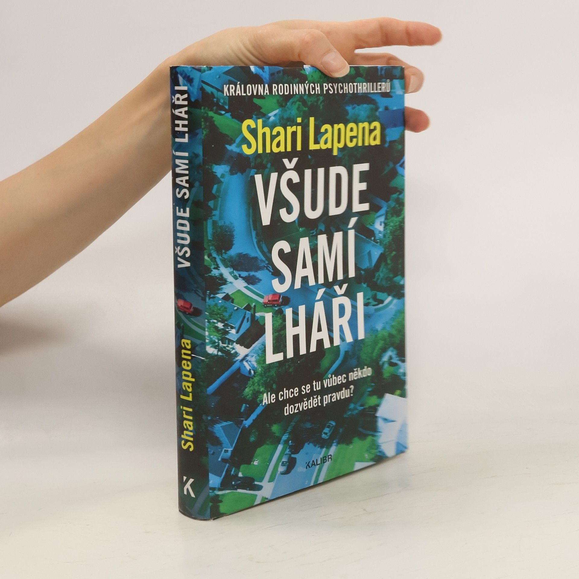 Shari Lapena Všude samí lháři