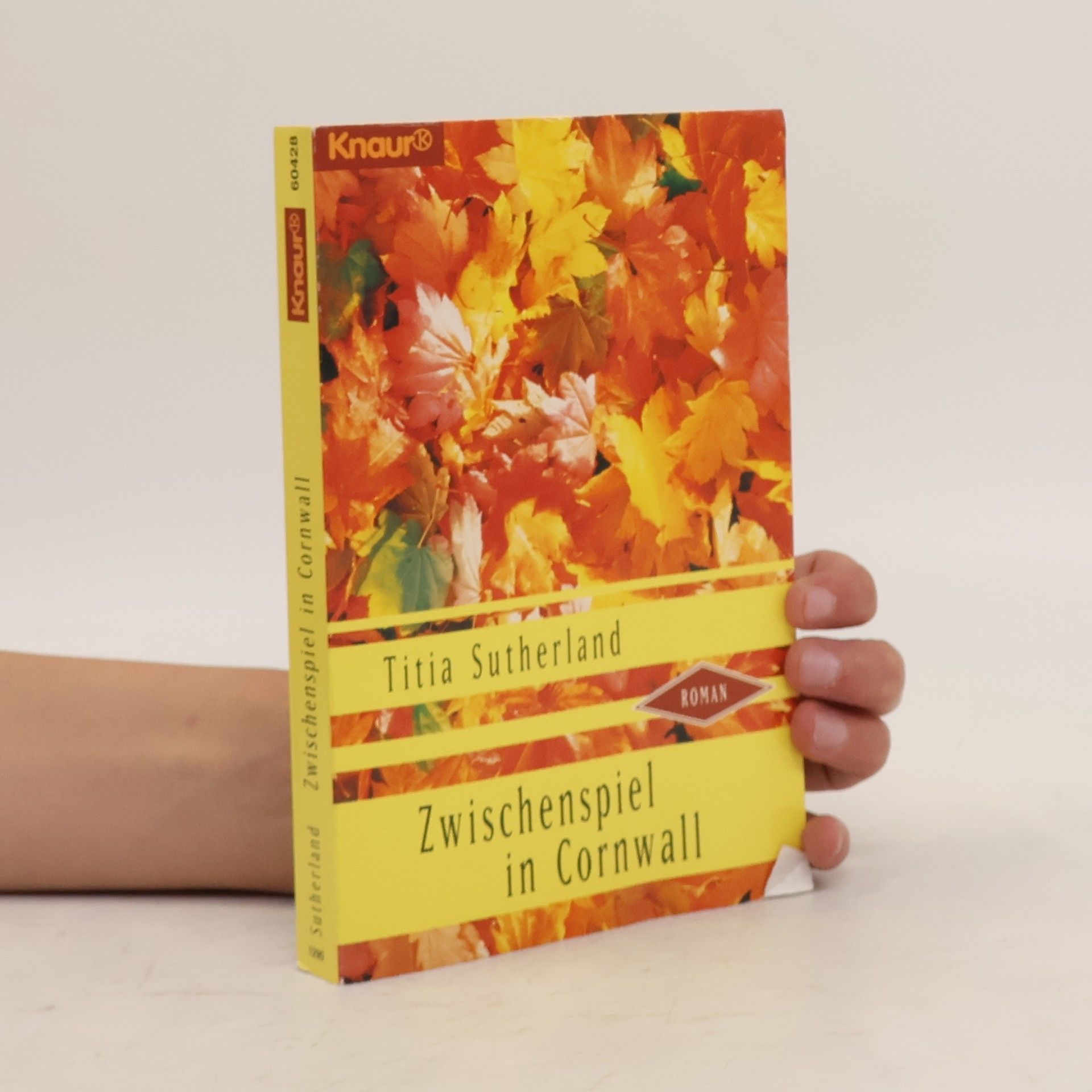 Titia Sutherland Zwischenspiel in Cornwall. Roman