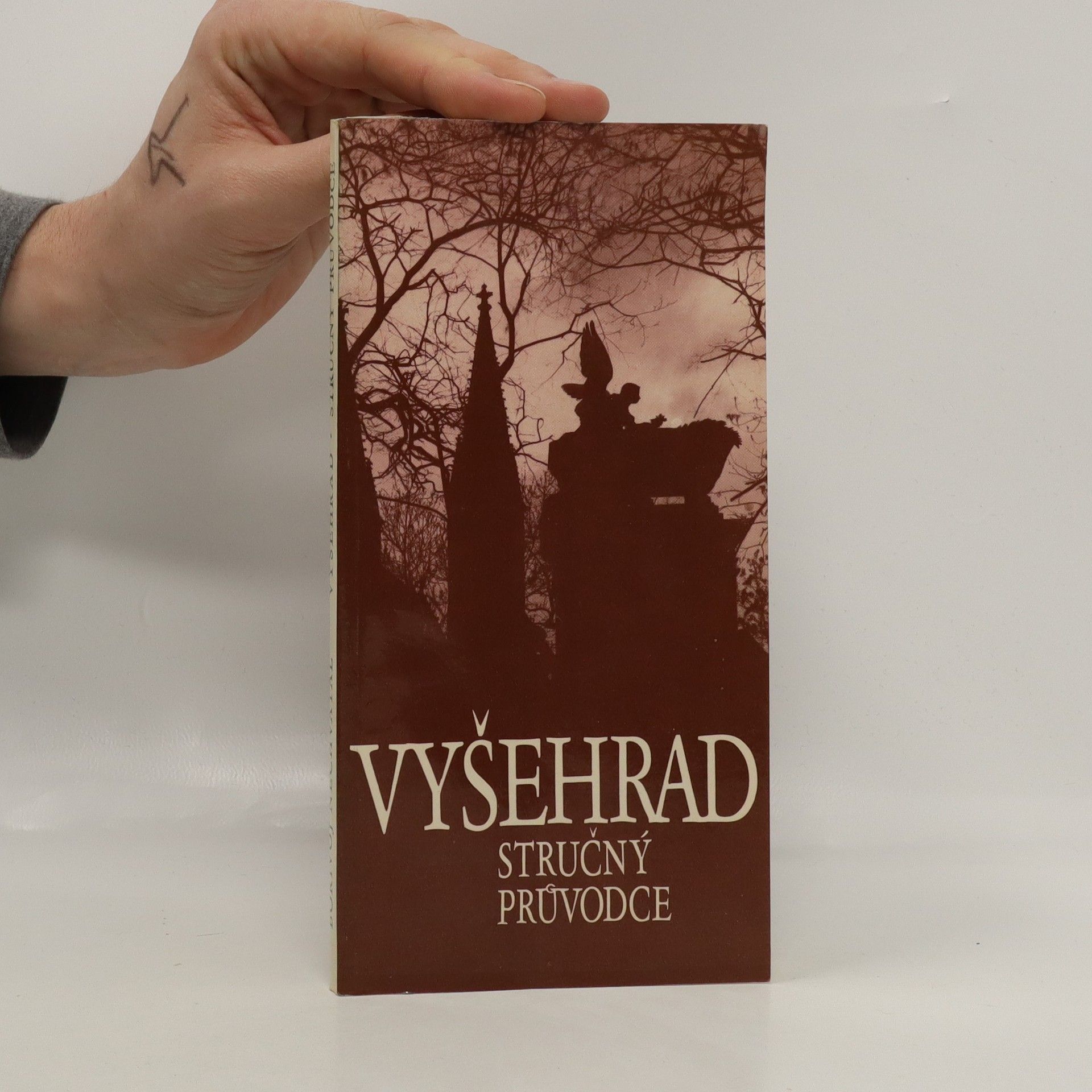 Bořivoj Nechvátal Vyšehrad. Stručný průvodce
