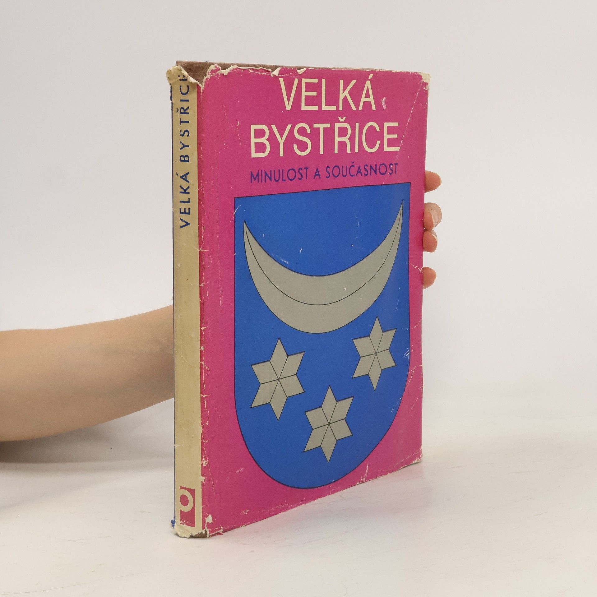 Autorenkollektiv Velká Bystřice. Minulost a současnost