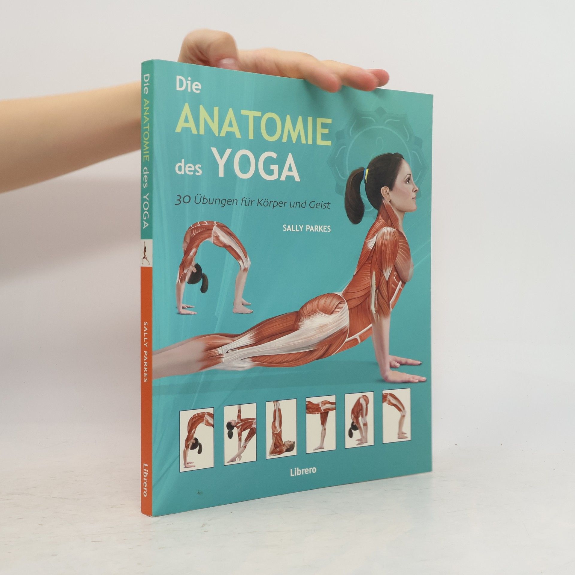 Sally Parkes Die Anatomie des Yoga