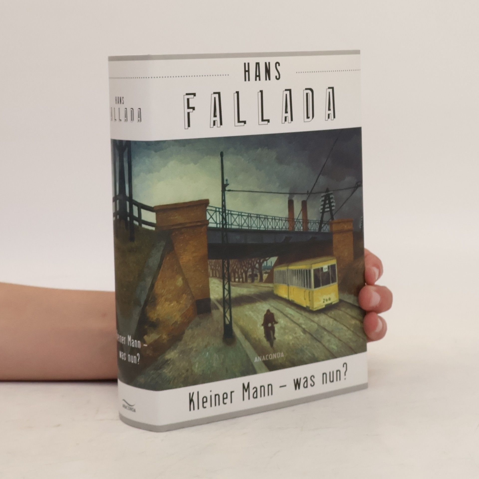 Hans Fallada Kleiner Mann - was nun?
