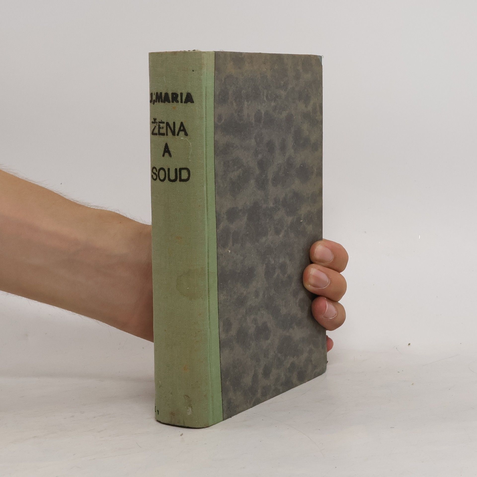 Jaroslav Maria Mayer Žena a soud