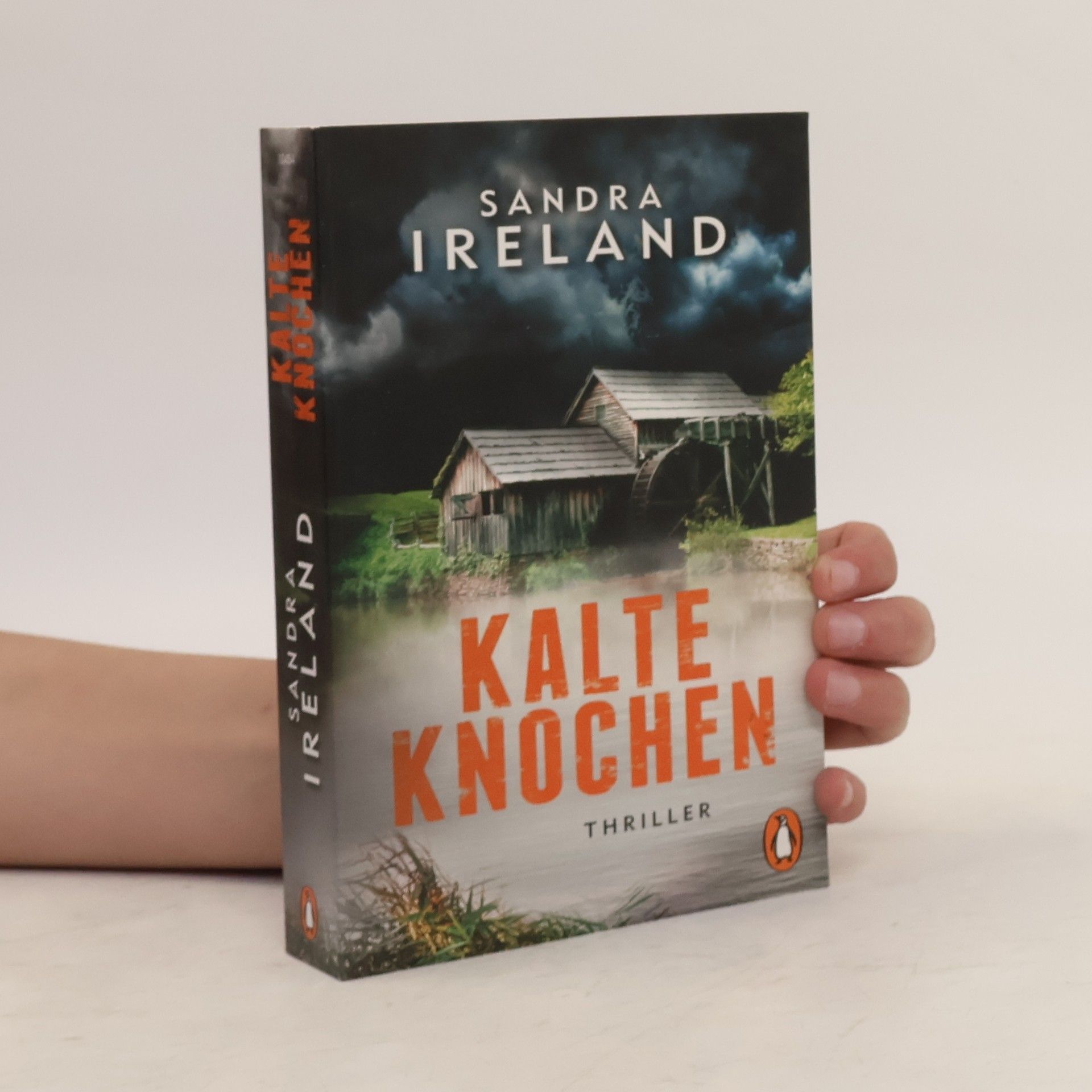 Sandra Ireland Kalte Knochen