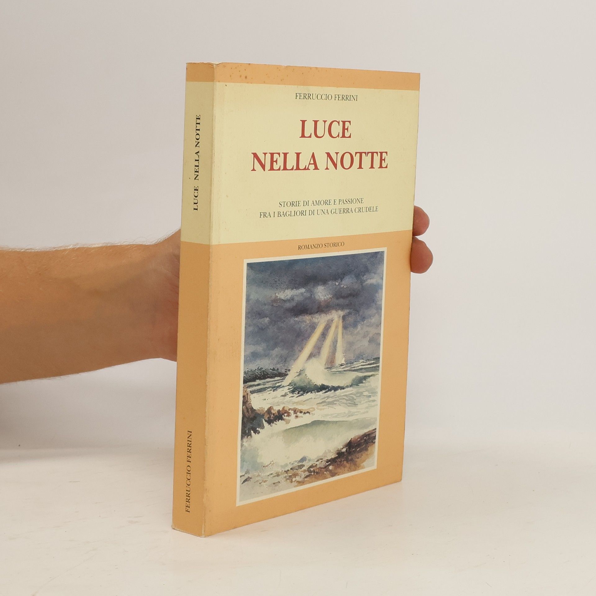 Ferruccio Ferrini Luce nella notte