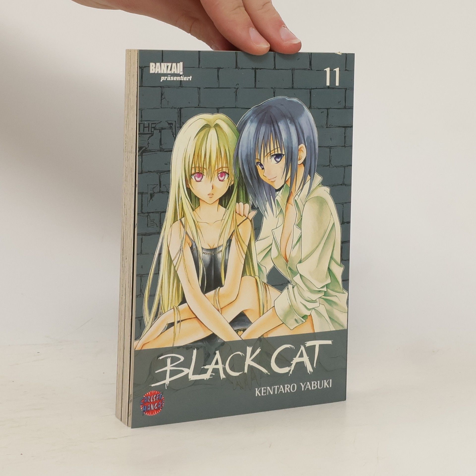 Kentaro Yabuki Black Cat 11