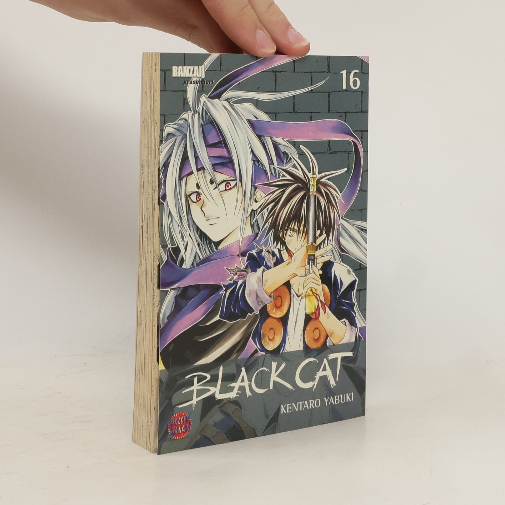 Kentaro Yabuki Black Cat 16
