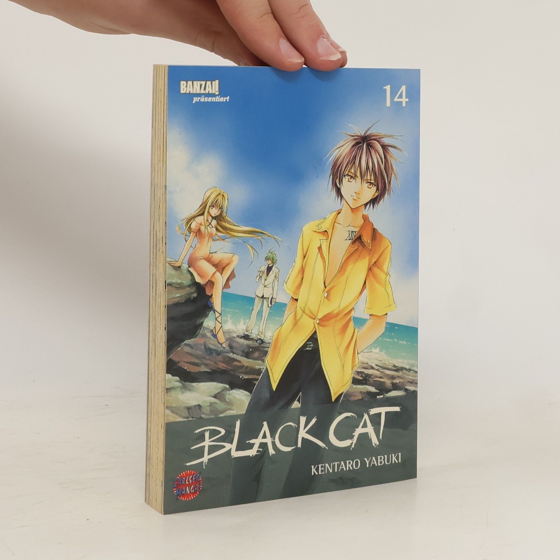 Kentaro Yabuki Black Cat no.14