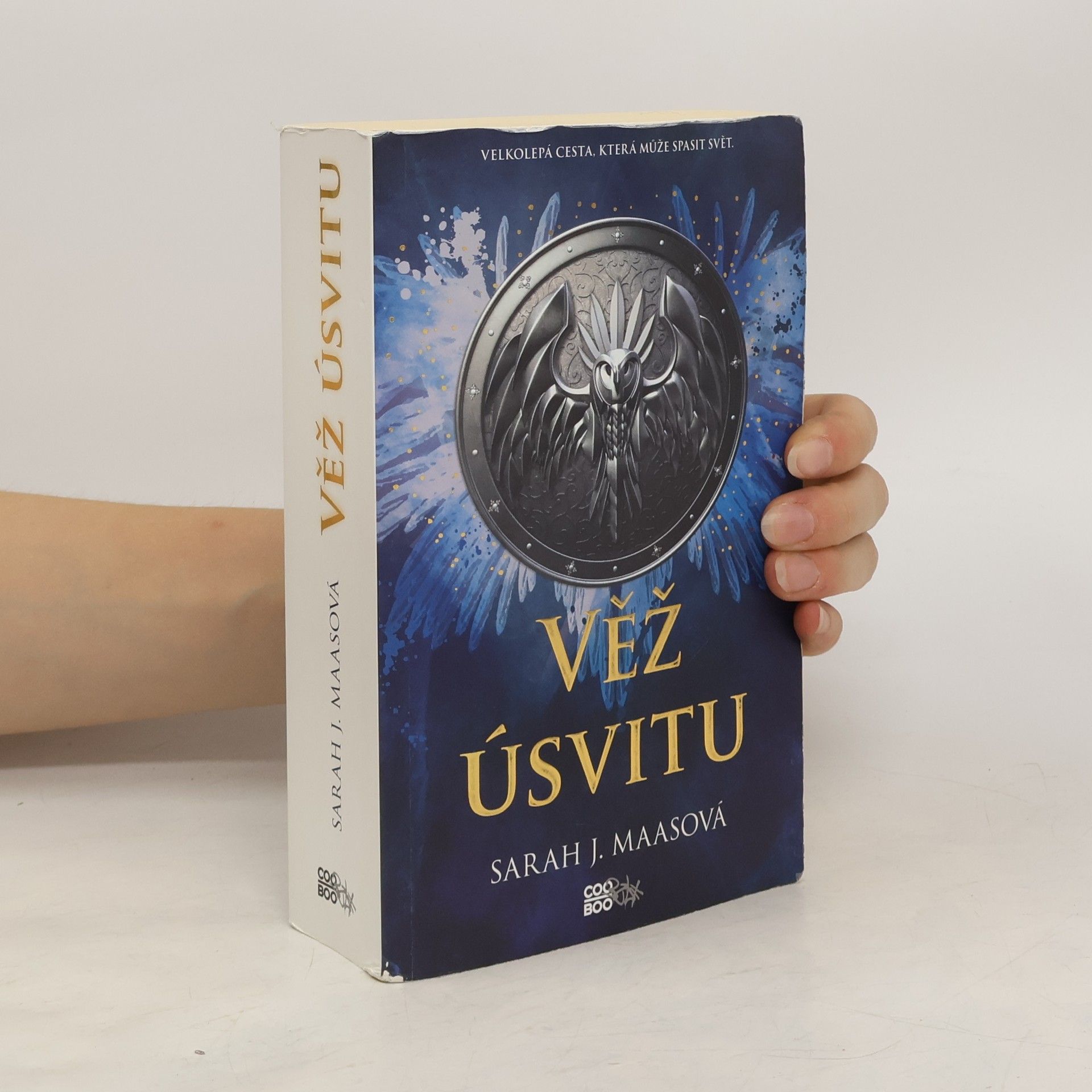 Sarah J. Maasová Věž úsvitu