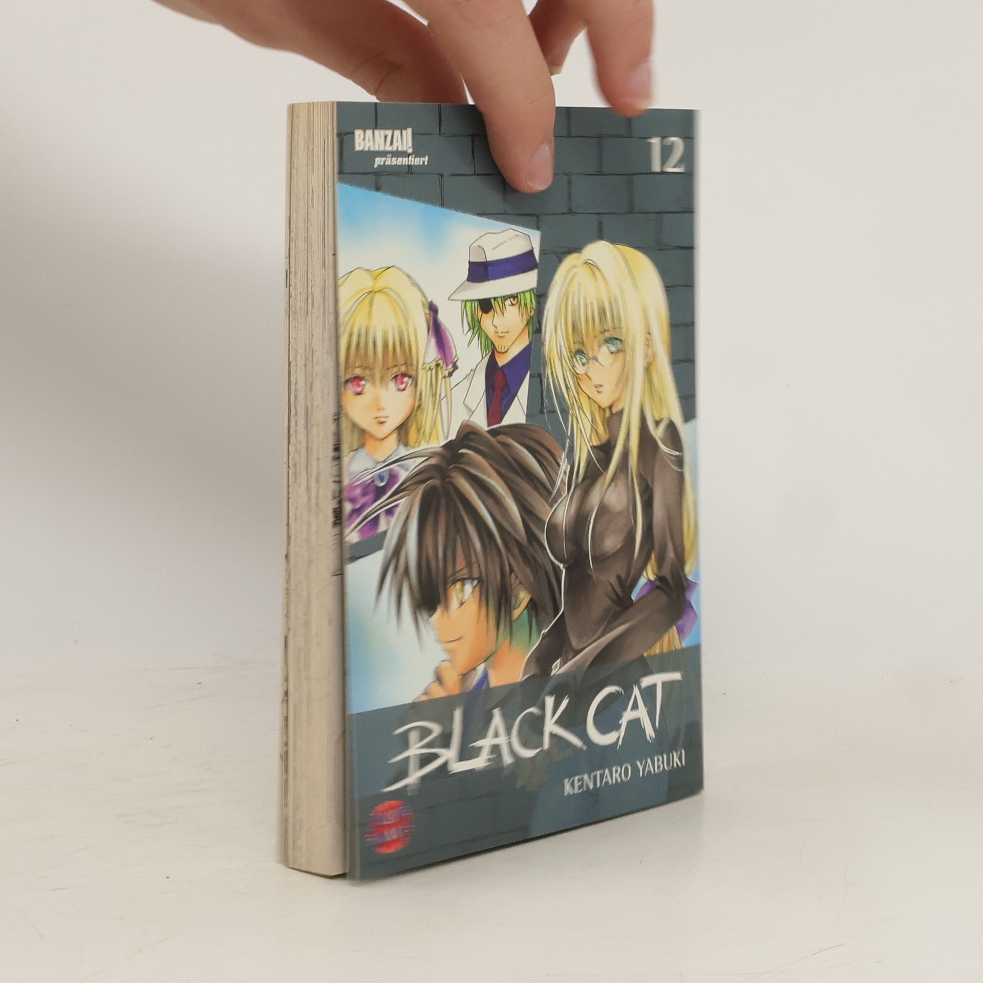 Kentaro Yabuki Black Cat 12