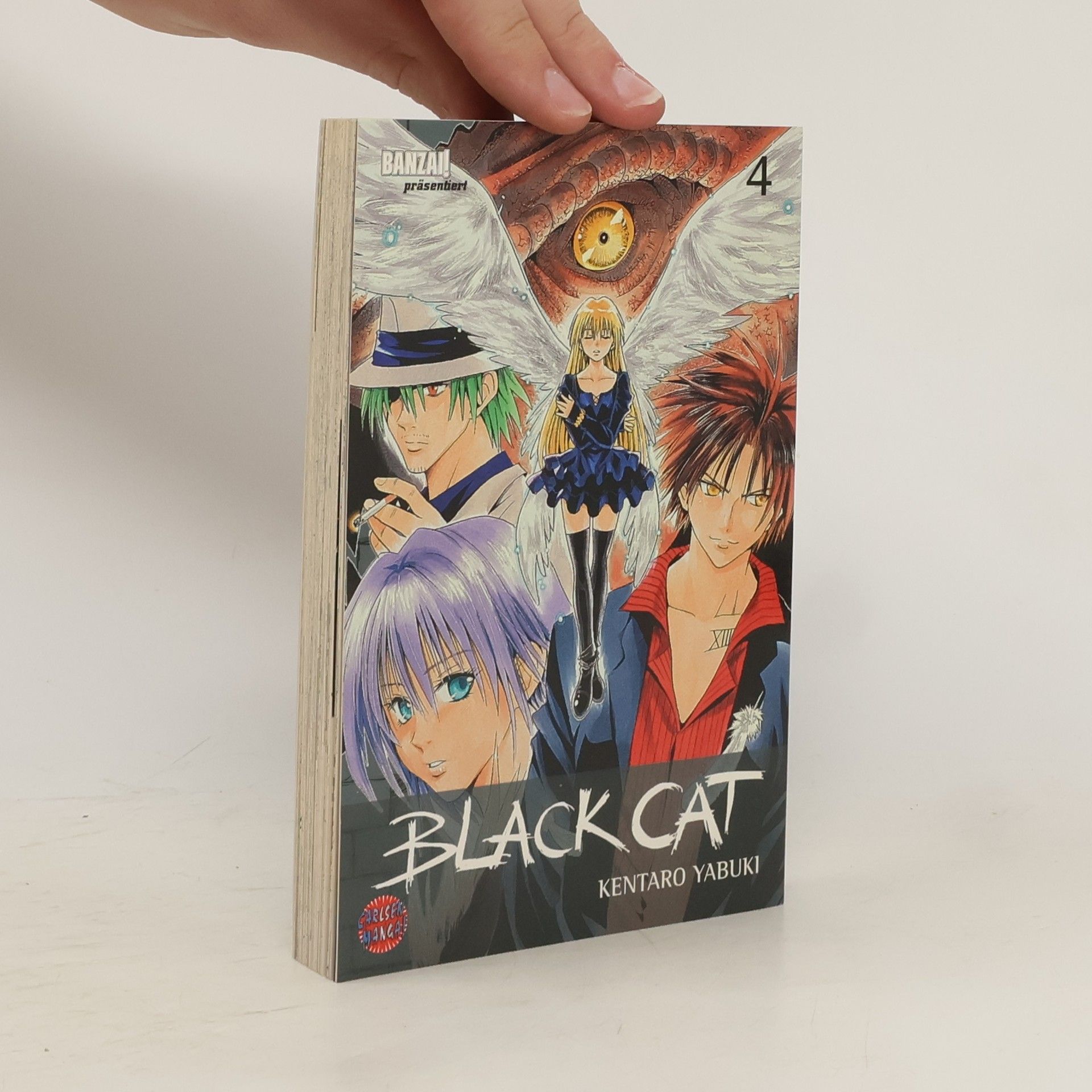 Kentaro Yabuki Black Cat 4