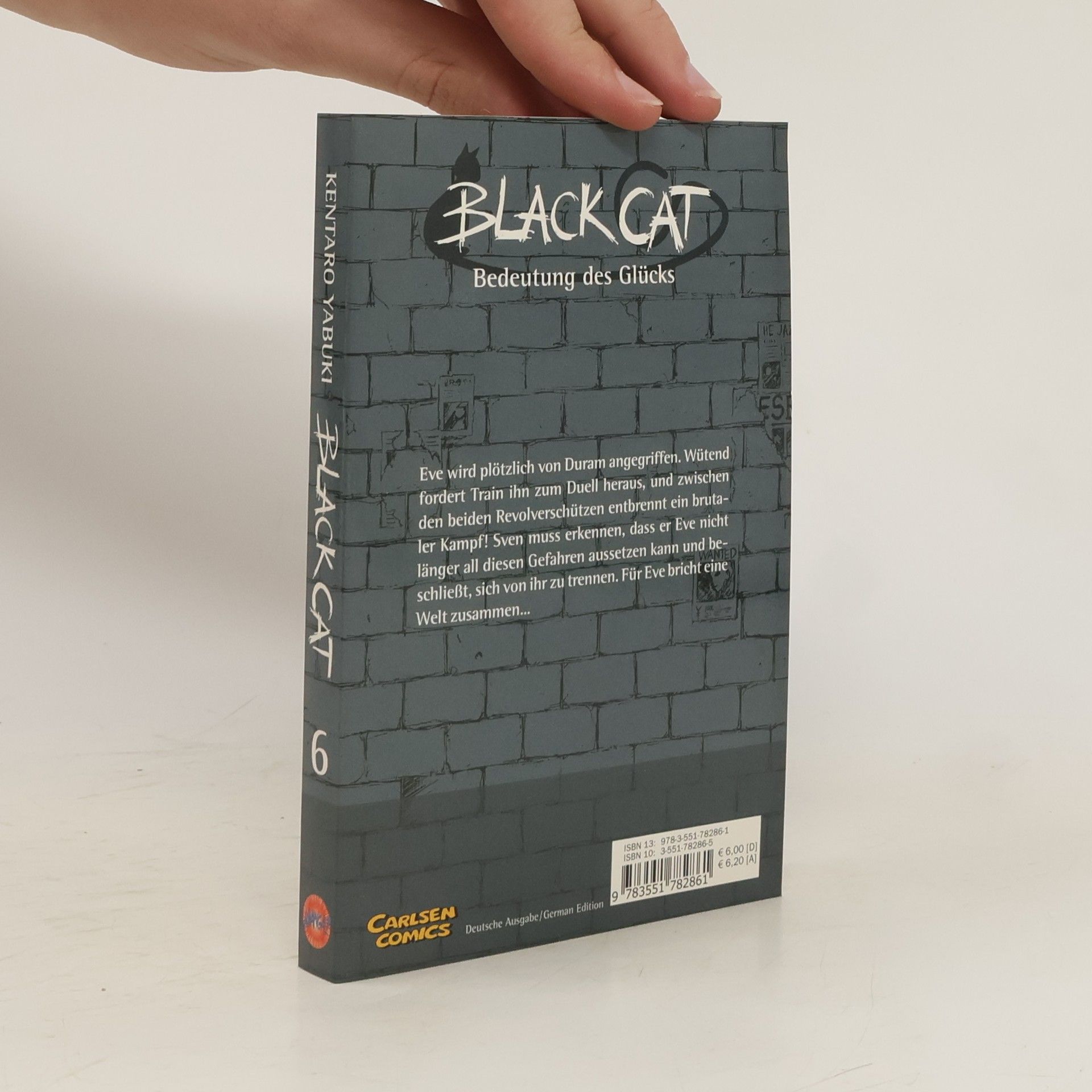 Kentaro Yabuki Black Cat 6