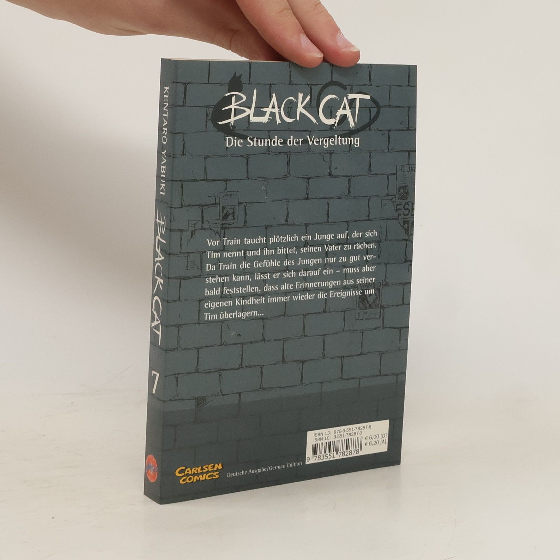 Kentaro Yabuki Black Cat 7