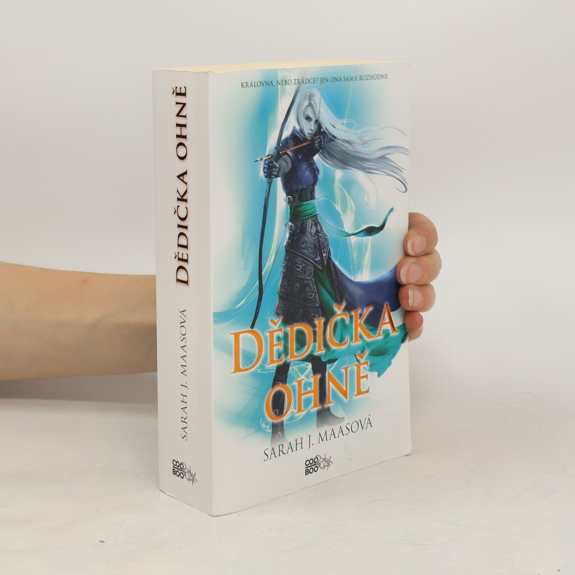 Sarah J. Maas Dědička ohně