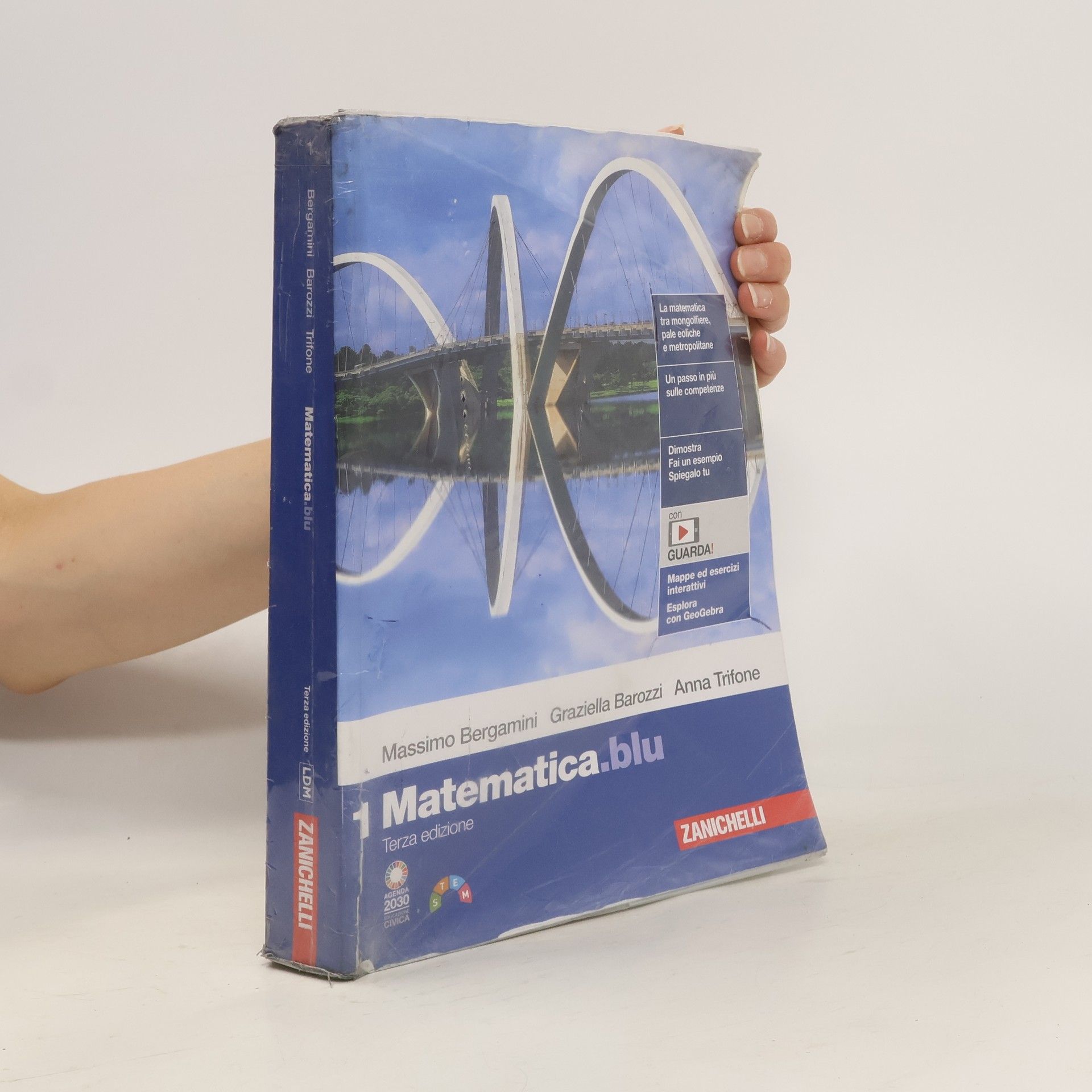 Massimo Bergamini Matematica 1