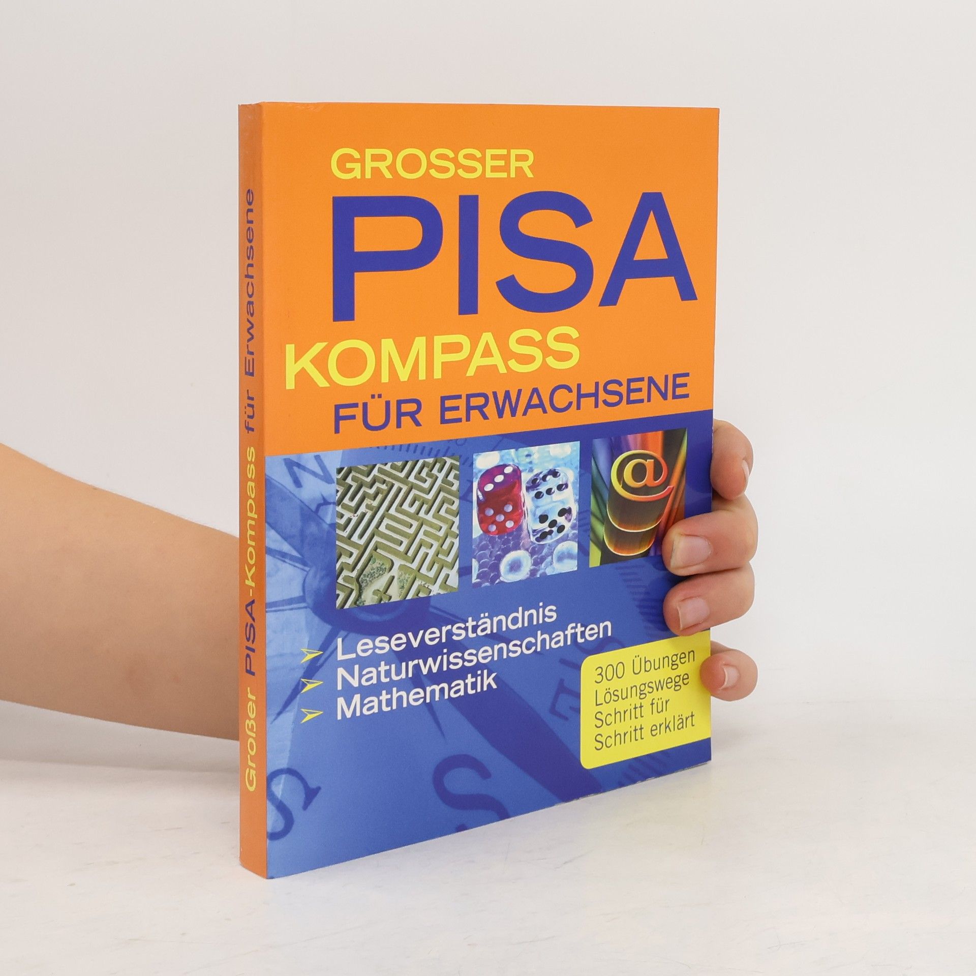 Jürgen Brück Großer Pisa-Kompass für Erwachsene