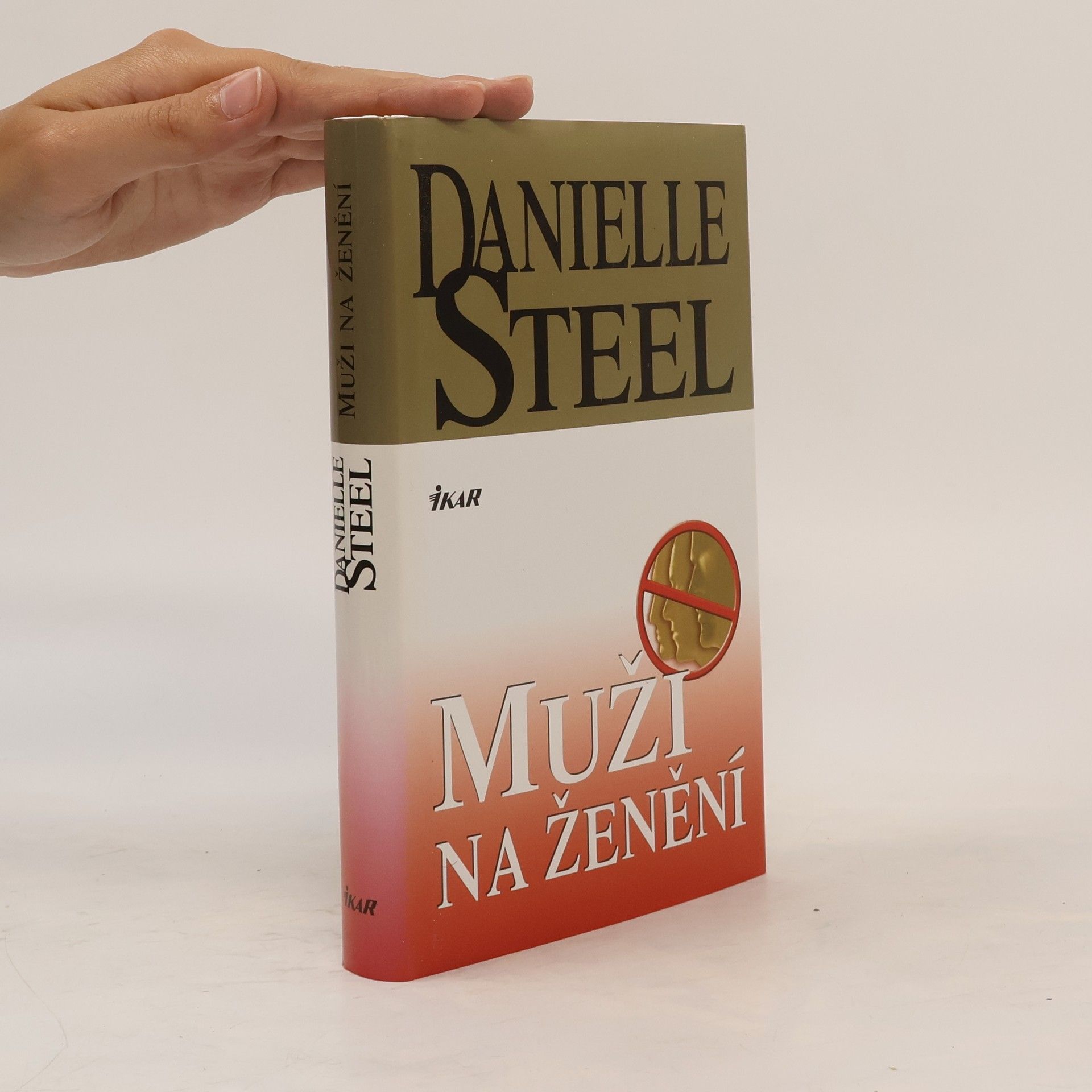 Danielle Steel Muži na ženění