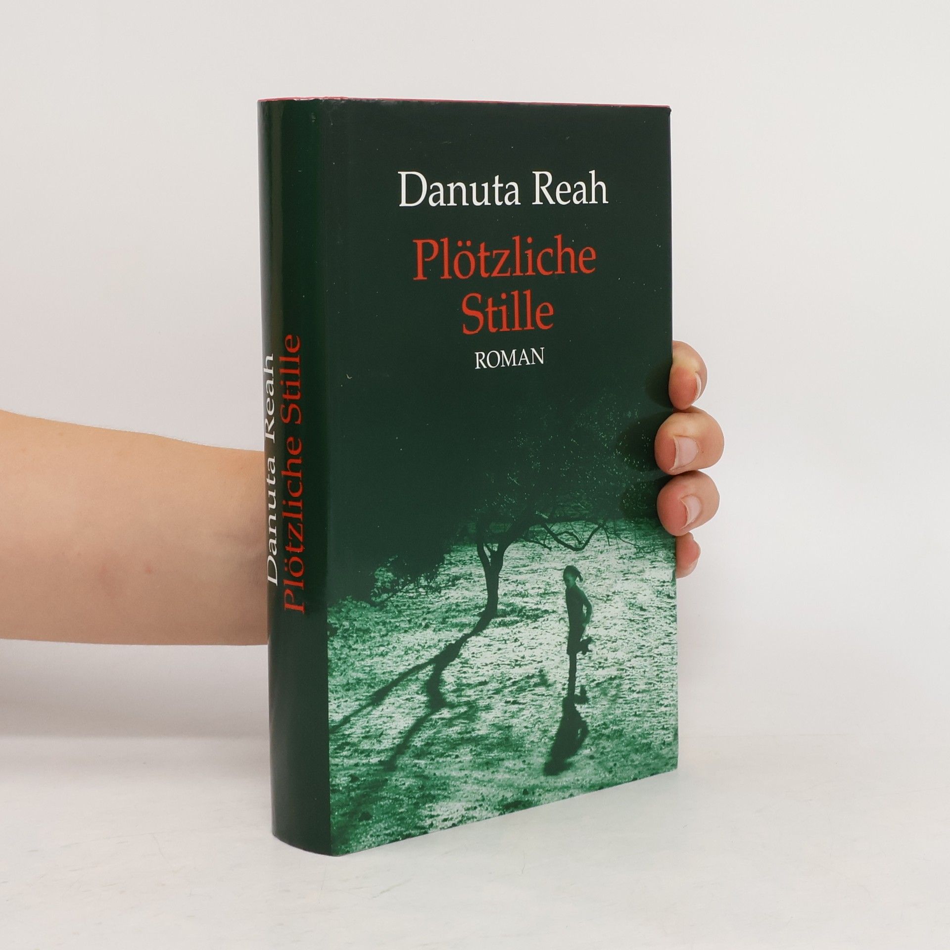 Danuta Reah Plötzliche Stille