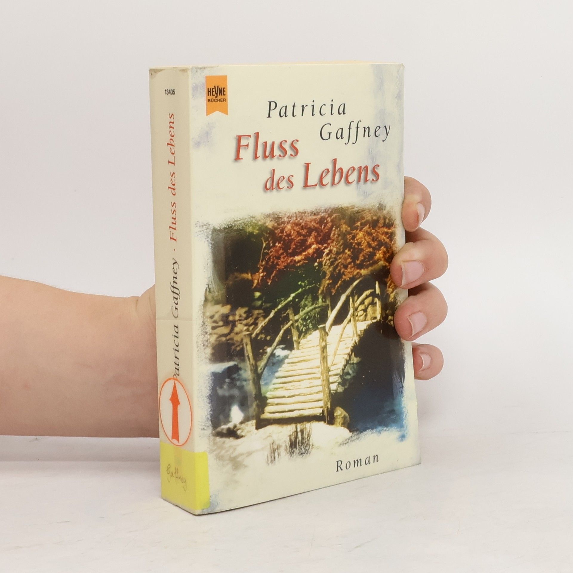 Patricia Gaffney Fluss des Lebens