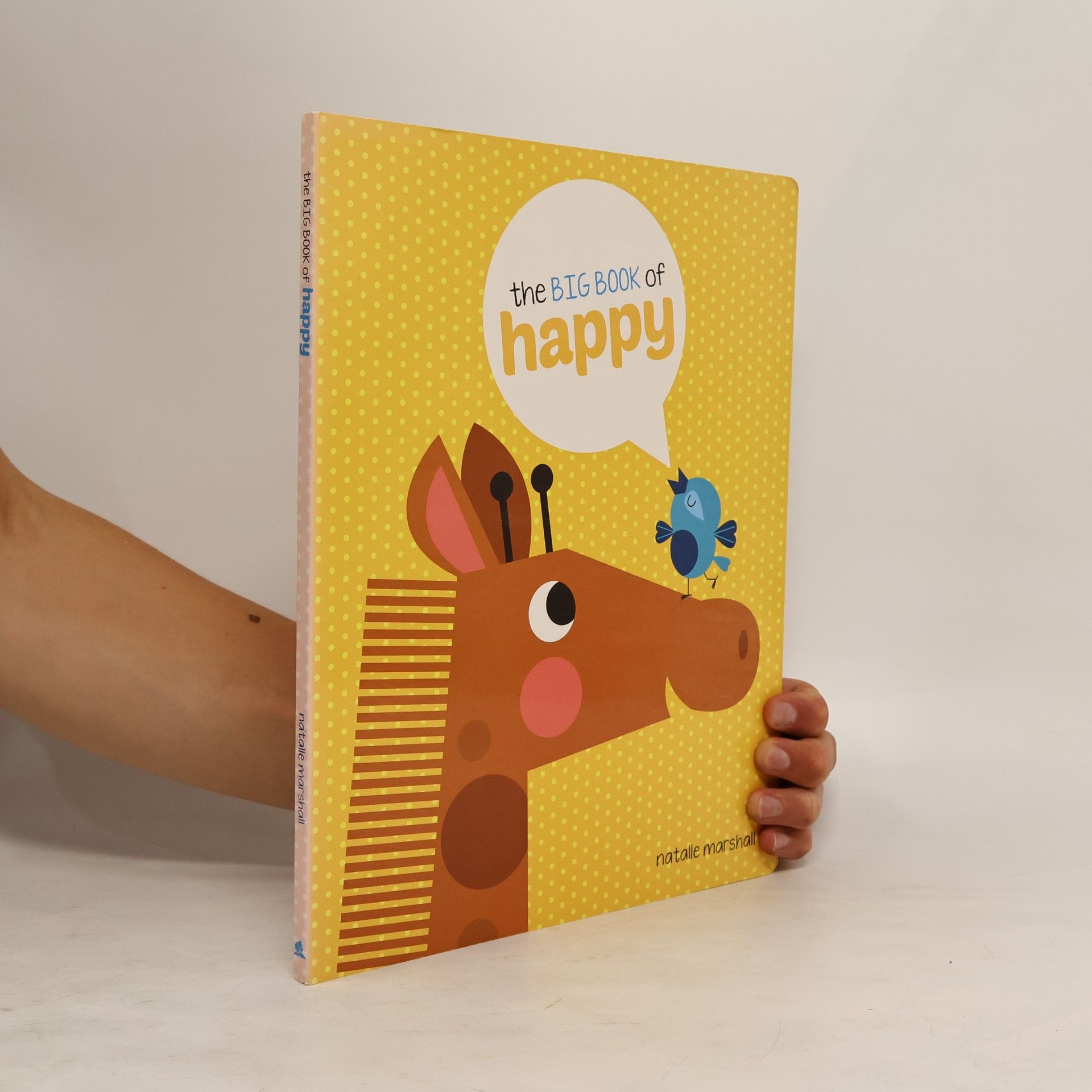 Natalie Marshall The Big Book of Happy