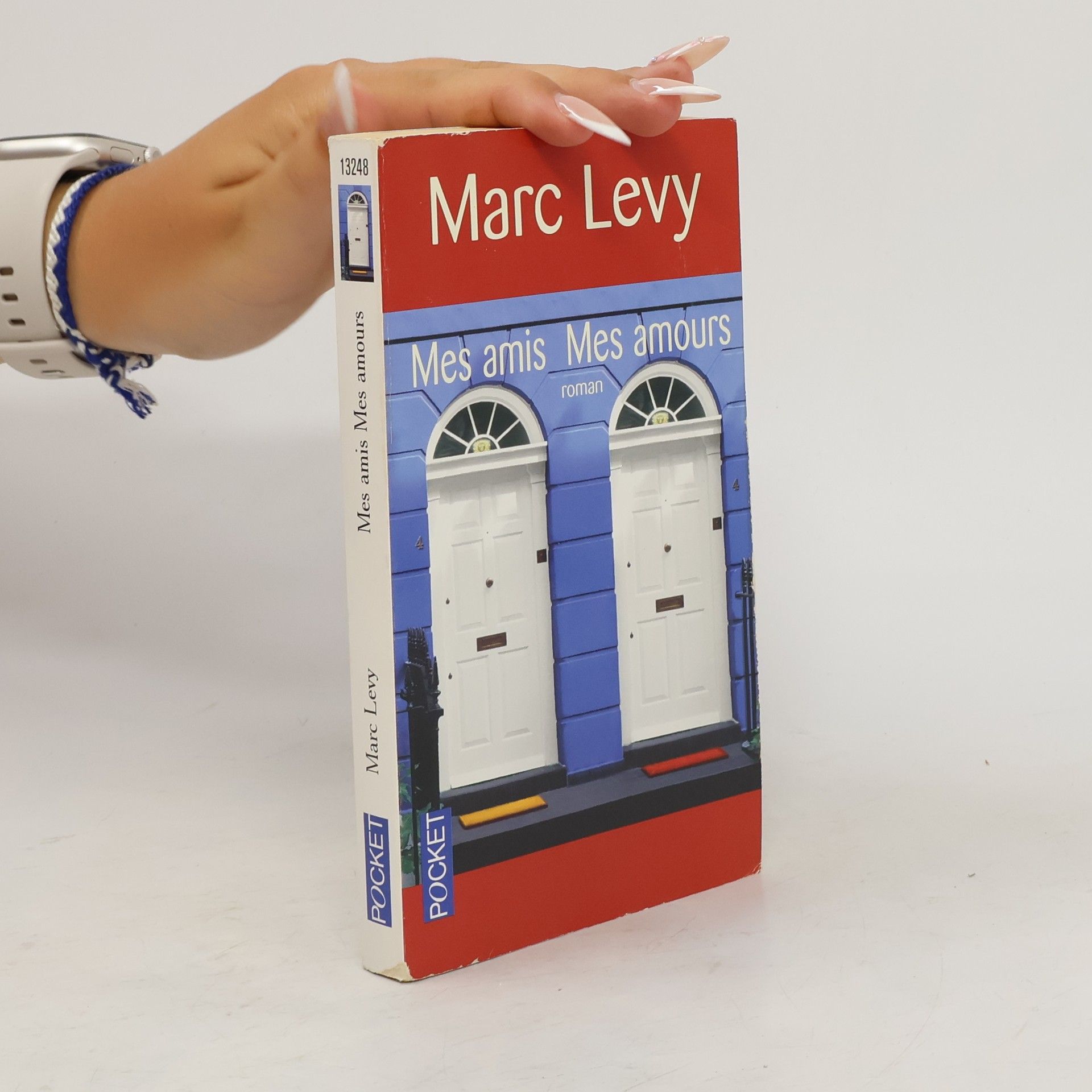 Marc Lévy Mes amis, mes amours