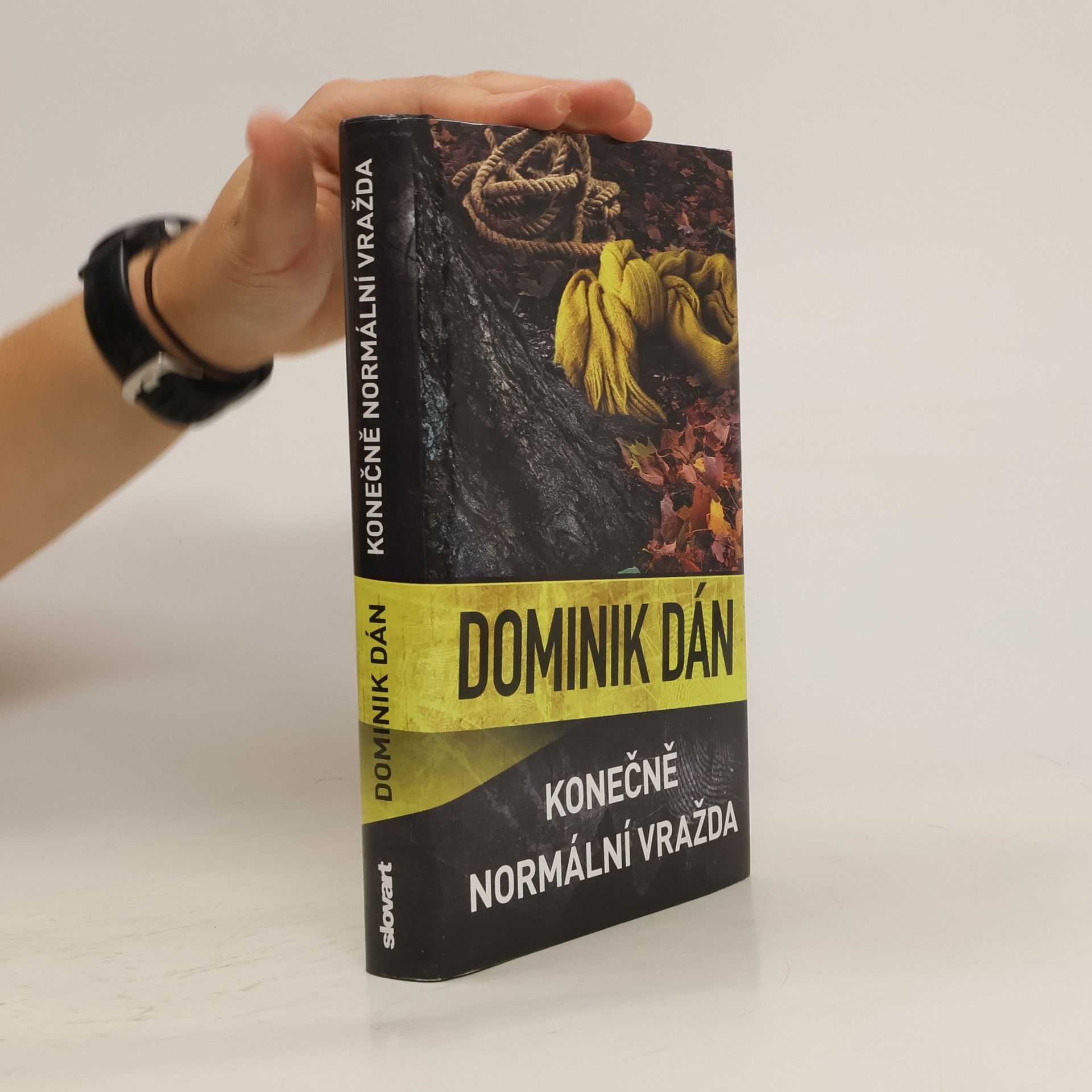 Dominik Dán Konečně normální vražda