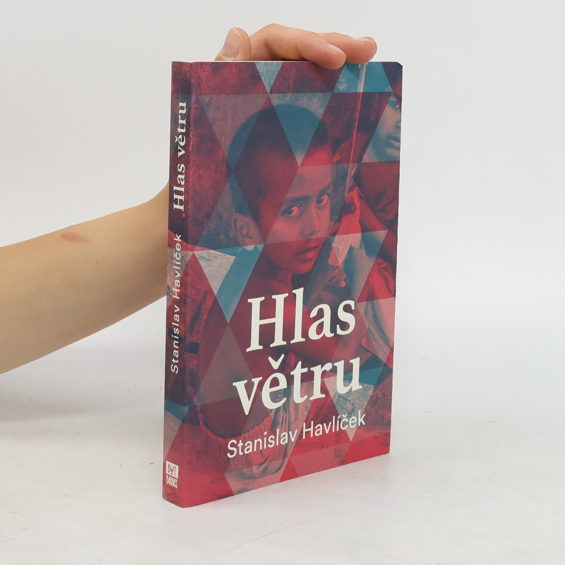 Stanislav Havlíček Hlas větru