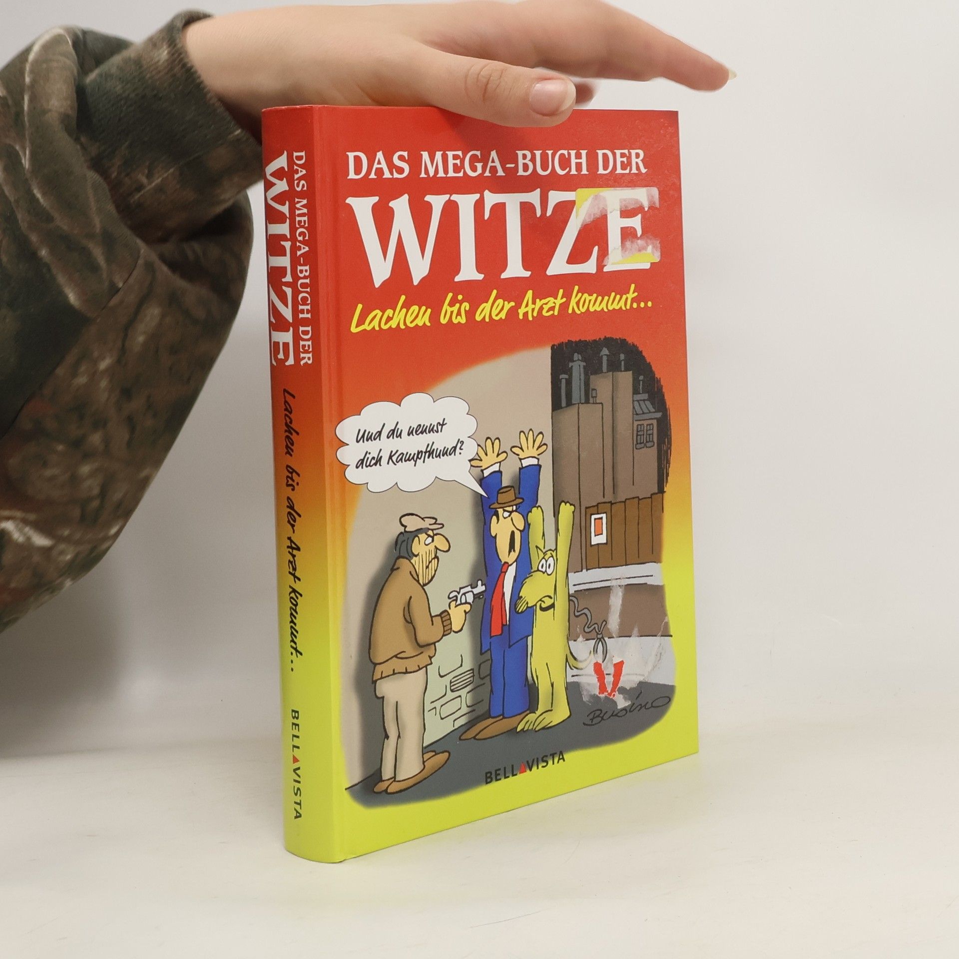 Autorenkollektiv Das Mega-Buch der Witze
