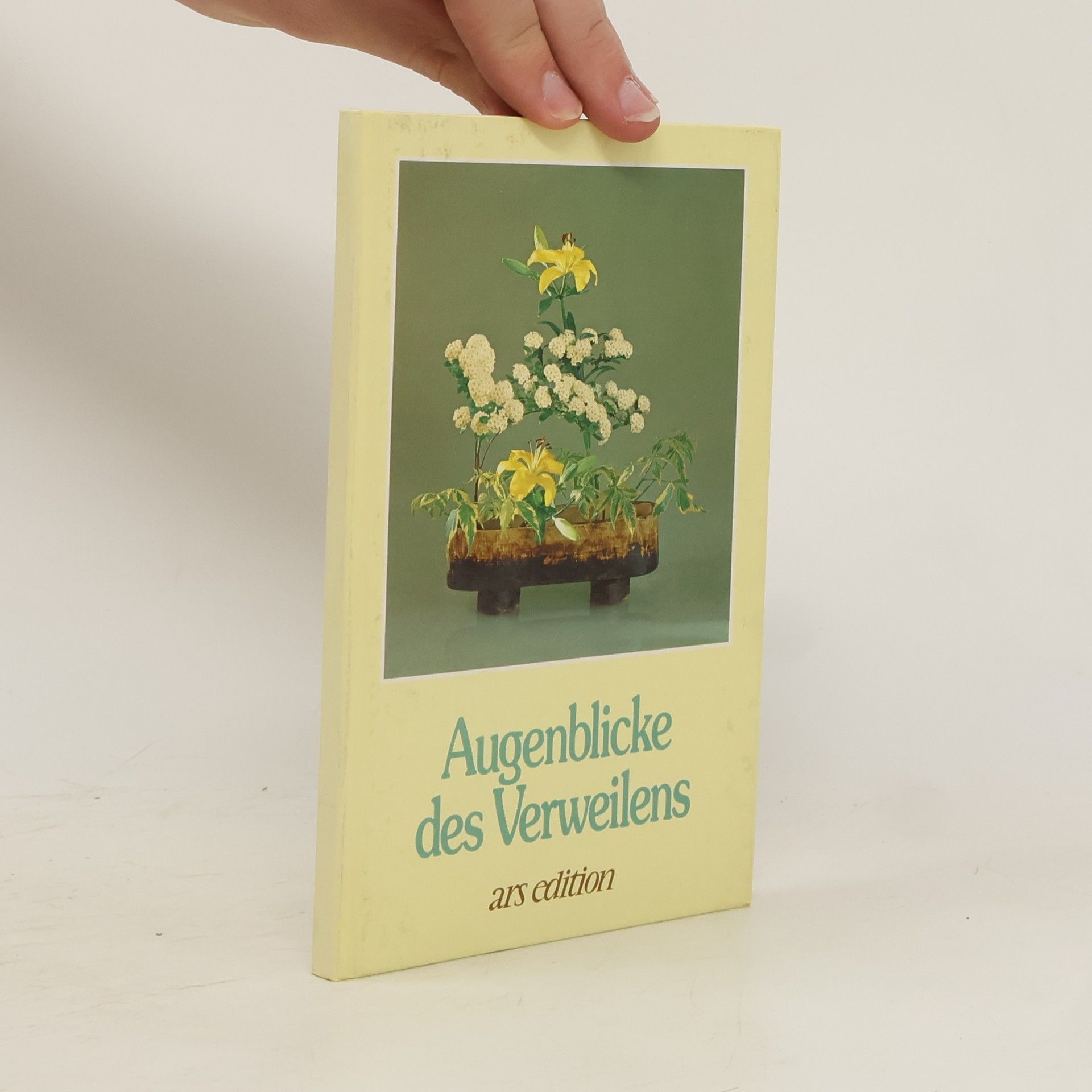 Dagmar Briel Augenblicke des Verweilens