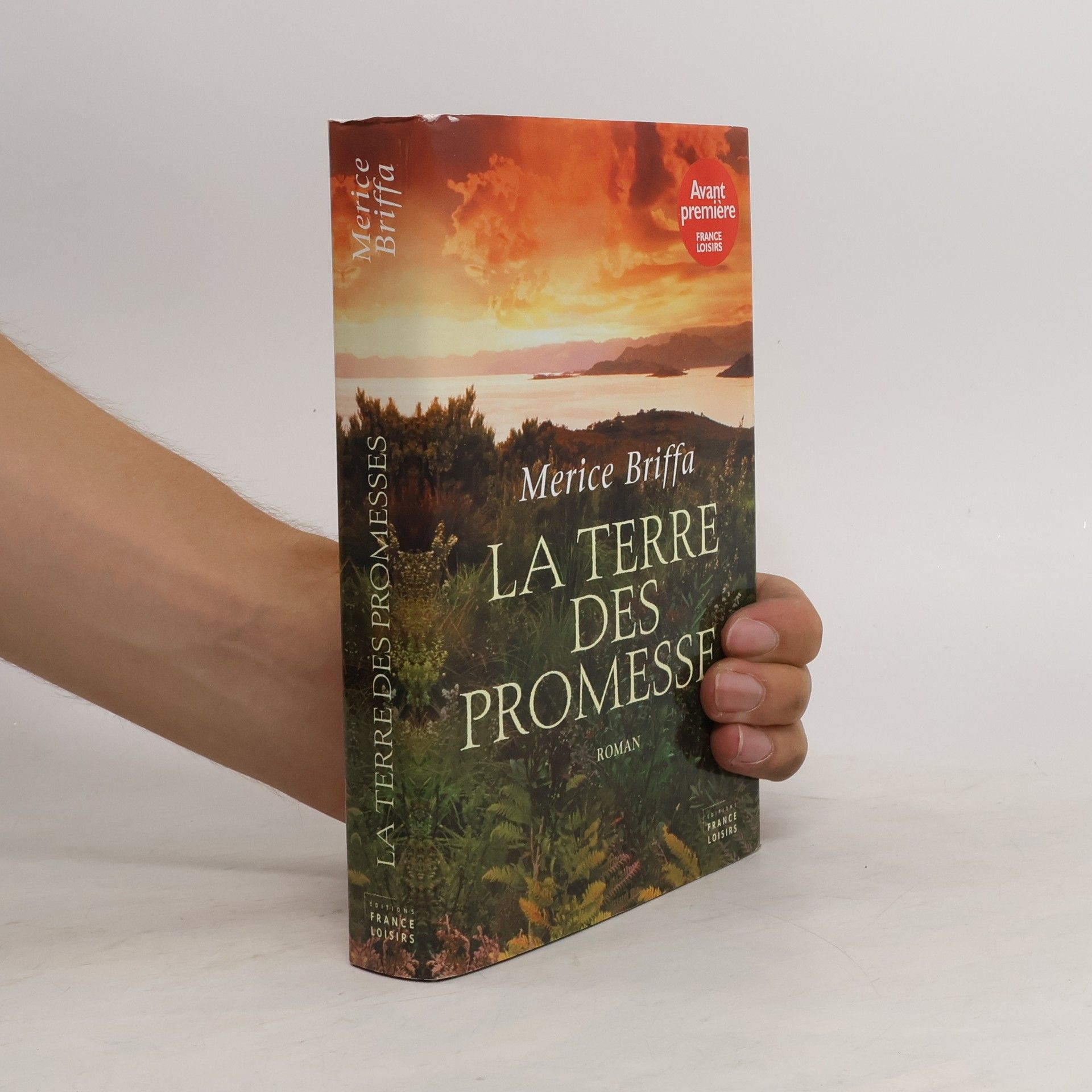 Merice Briffa La Terre des Promesses