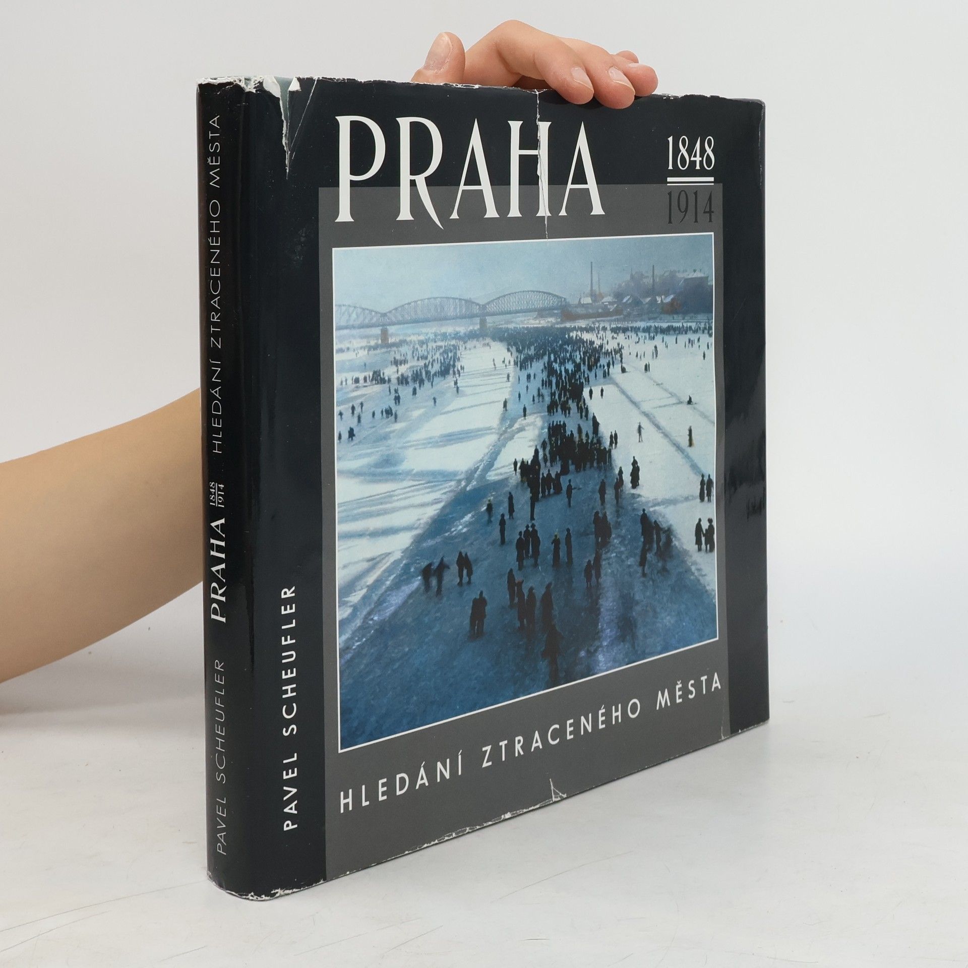 Pavel Scheufler Praha 1848-1914 : hledání ztraceného města
