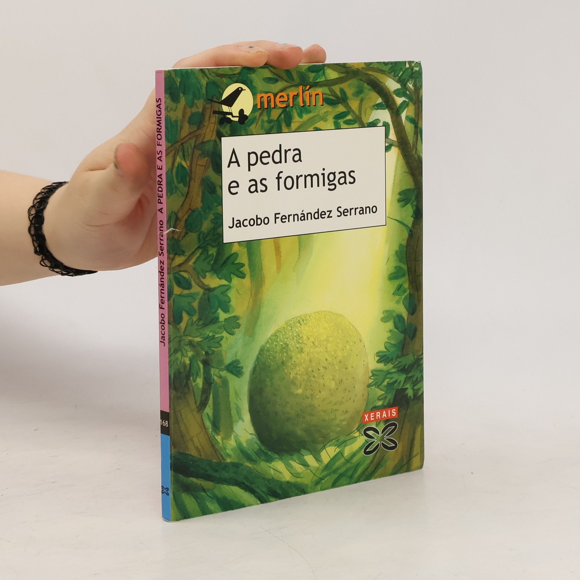 Jacobo Fernández Serrano A pedra e as formigas