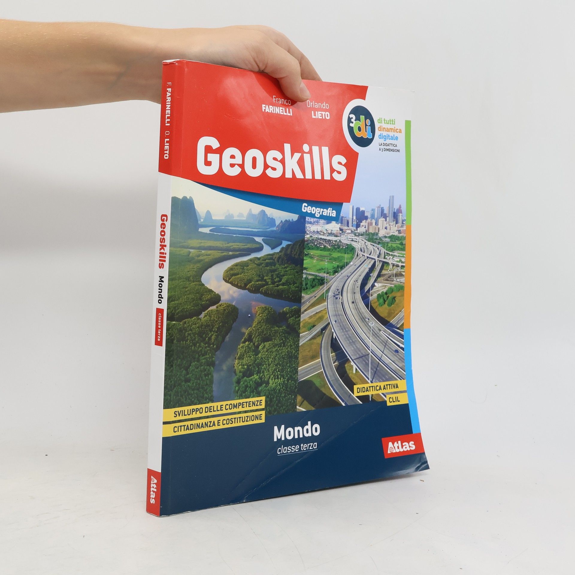 Franco Farinelli Geoskills