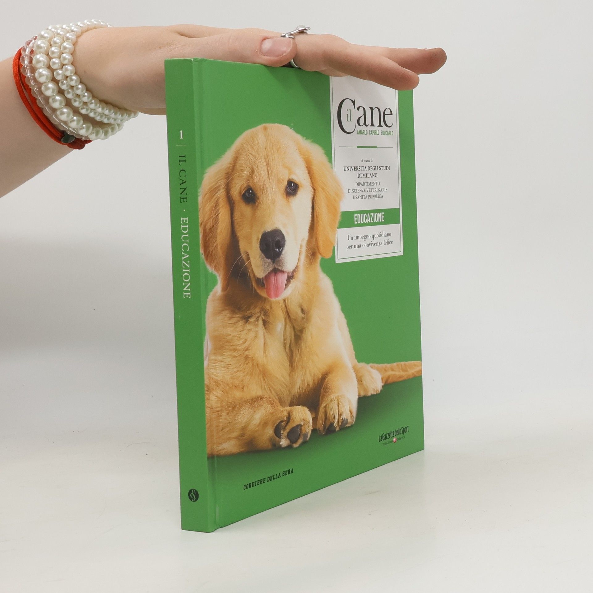 kolektiv Il Cane