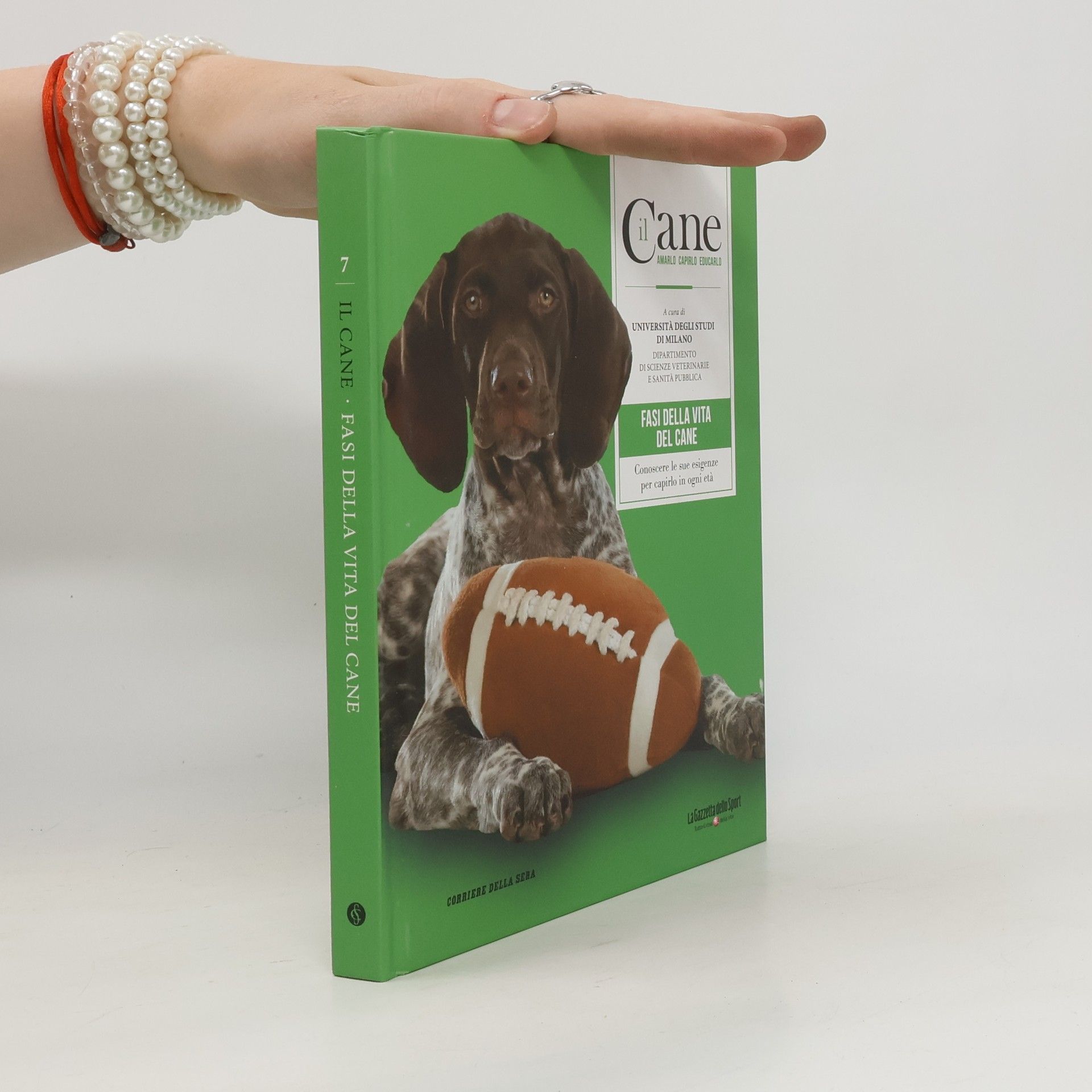 kolektiv Il Cane. Fasi della vita del cane
