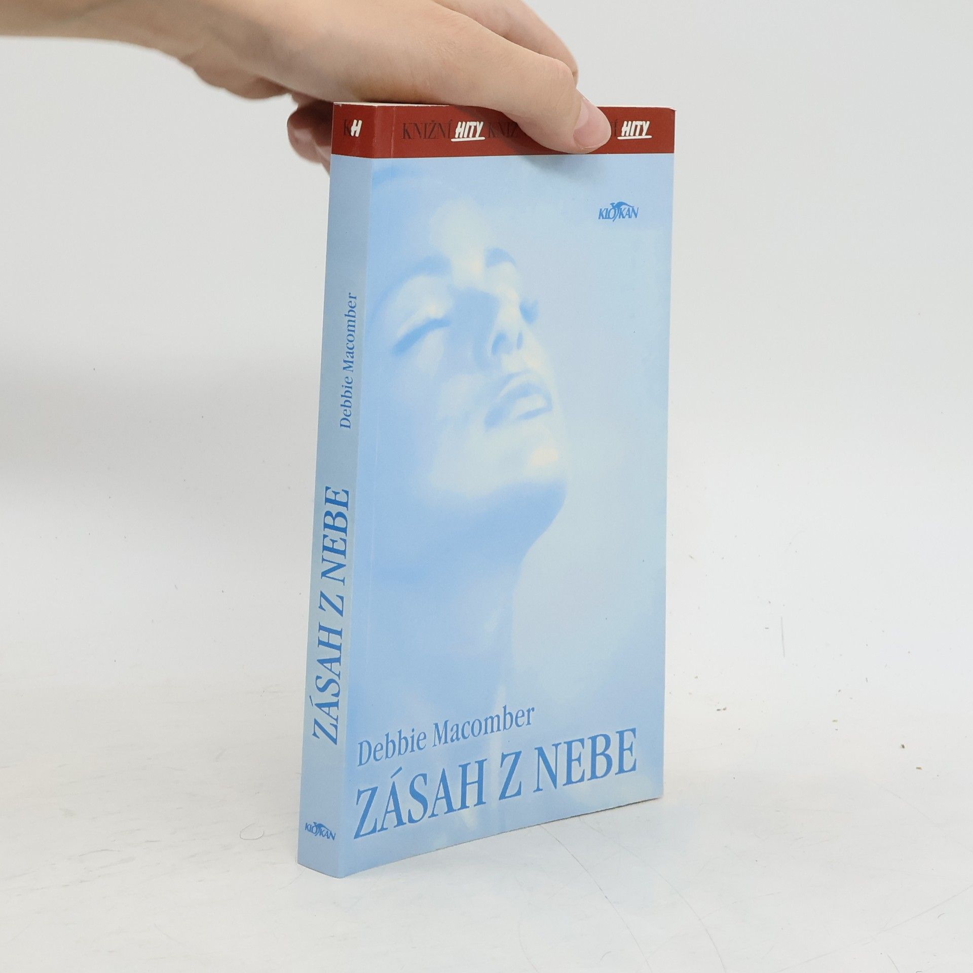 Debbie Macomber Zásah z nebe