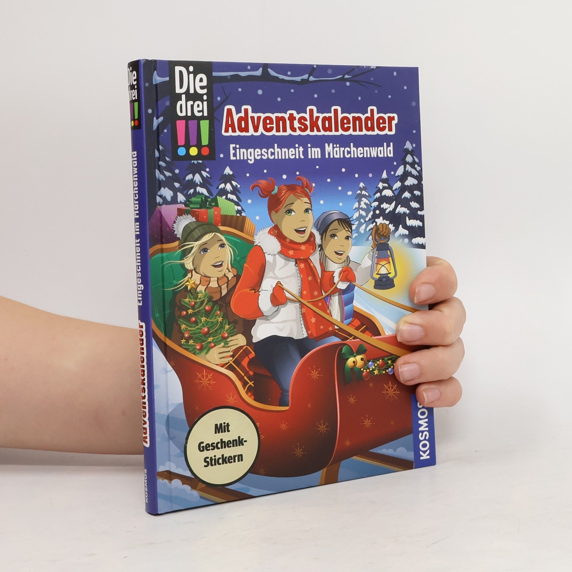 Kirsten Vogel Die drei !!! Adventskalender -
