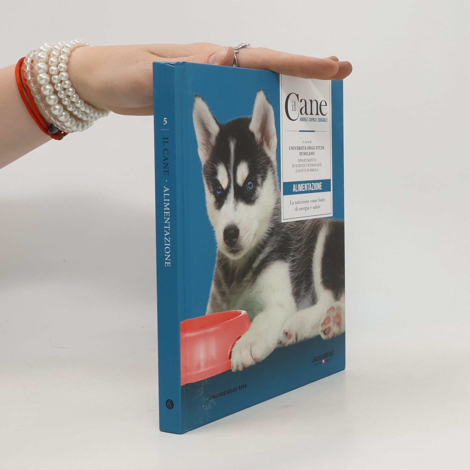 kolektiv Il Cane