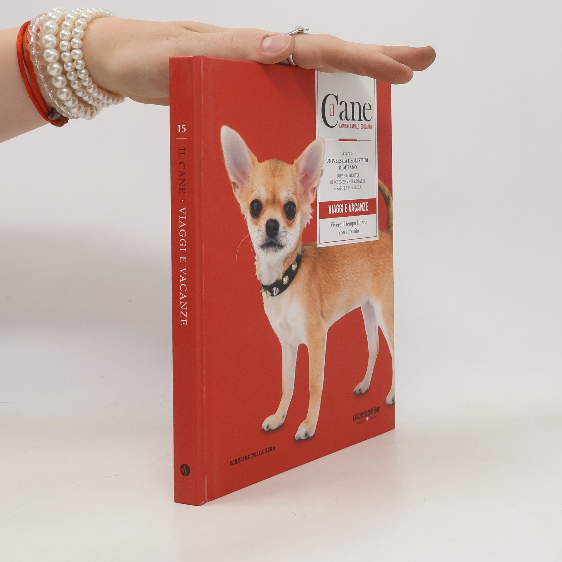 kolektiv Il Cane. Viaggi e vacanze