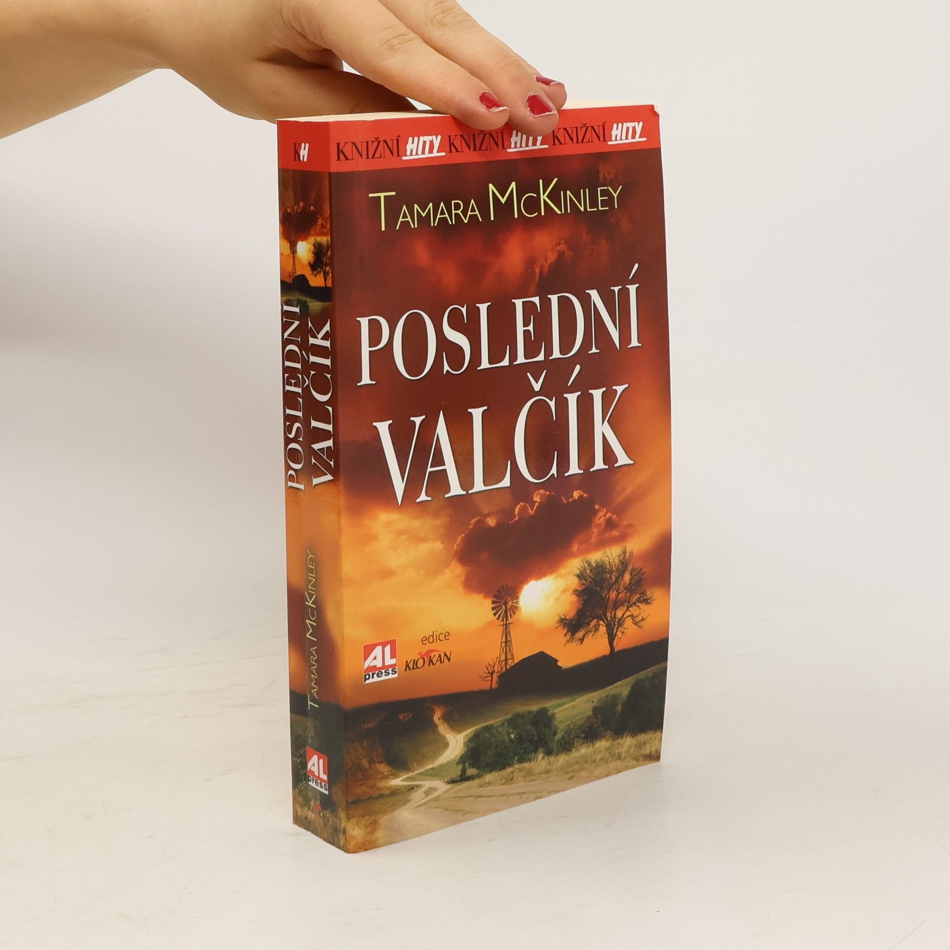 Tamara McKinley Poslední valčík