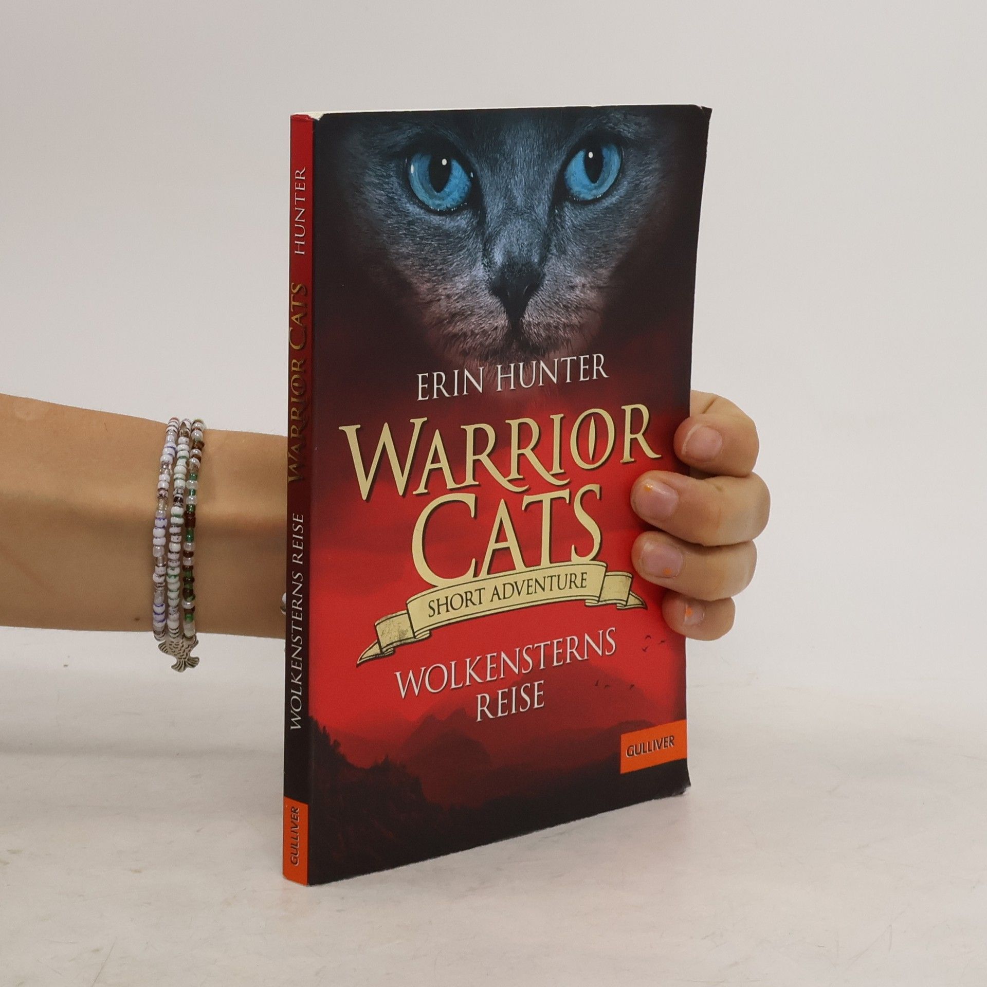 Erin Hunter Warrior Cats. Short Adventure. Wolkensterns Reise