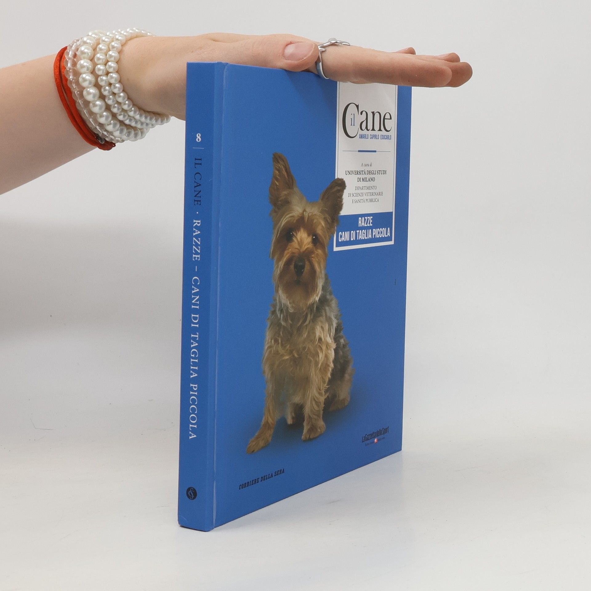 kolektiv Il Cane. Razze cani di taglia piccola